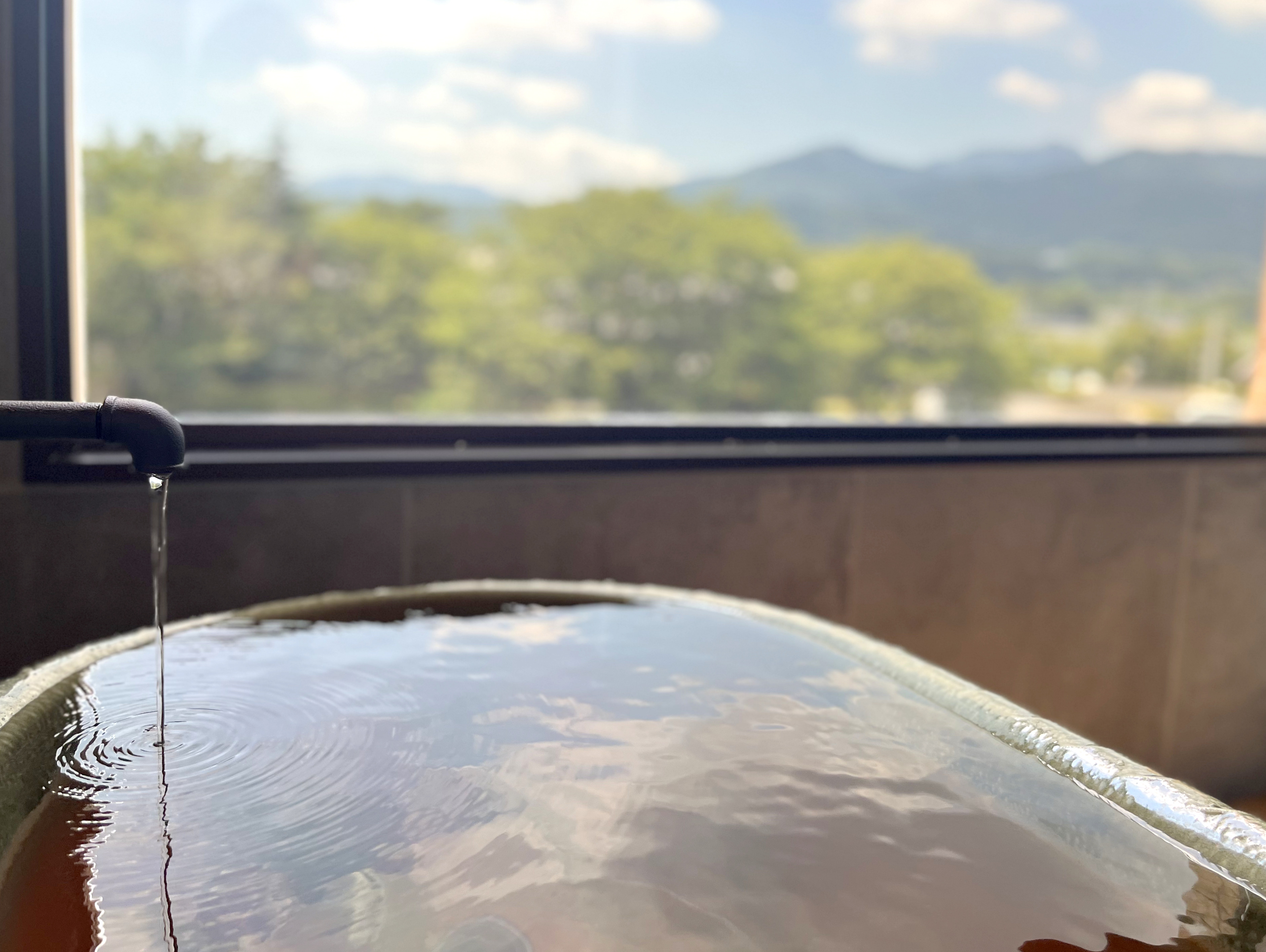 半露天風呂付【デラックスツイン】