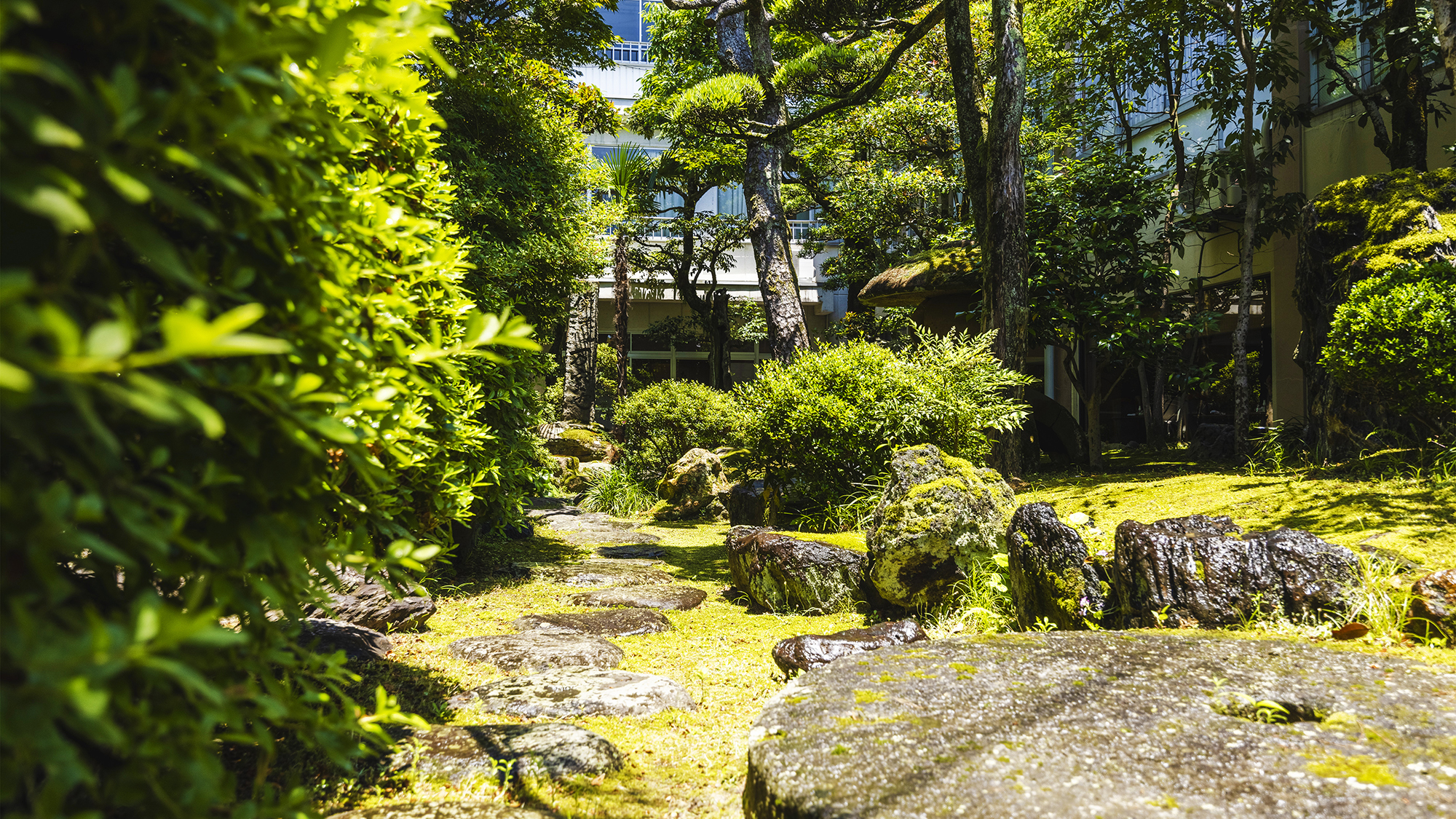 【中庭】鳥たちも遊びに来る庭園。全てのお部屋から覧いただけます。