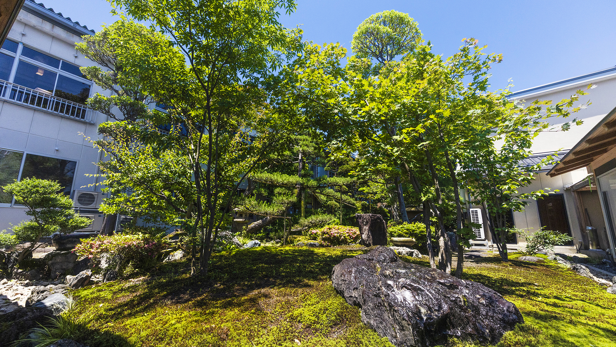 【中庭】青々と茂る木々は全室からご覧いただけます。