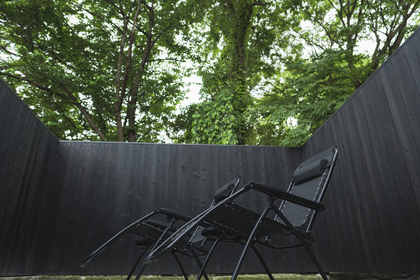 【ドミトリールーム】朝サウナ×発酵モーニングプレート朝食付きプラン（1泊朝食）