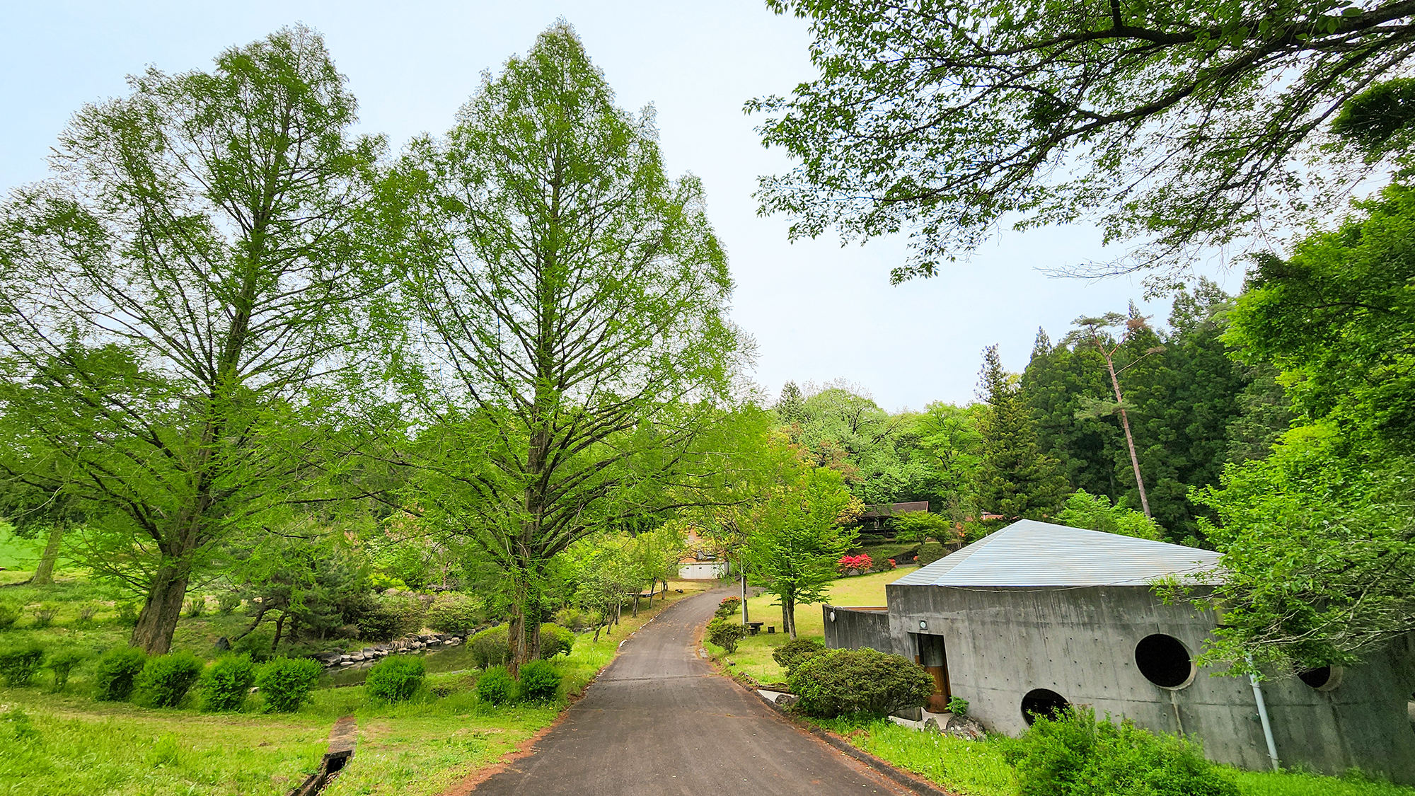 #広大な敷地にはナラ・クヌギなどの自然林に囲まれています