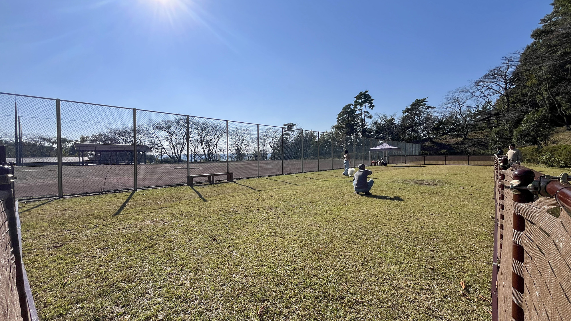 #ドッグラン　広々としたスペースは、ワンちゃんが自由に運動できる最高の環境です。