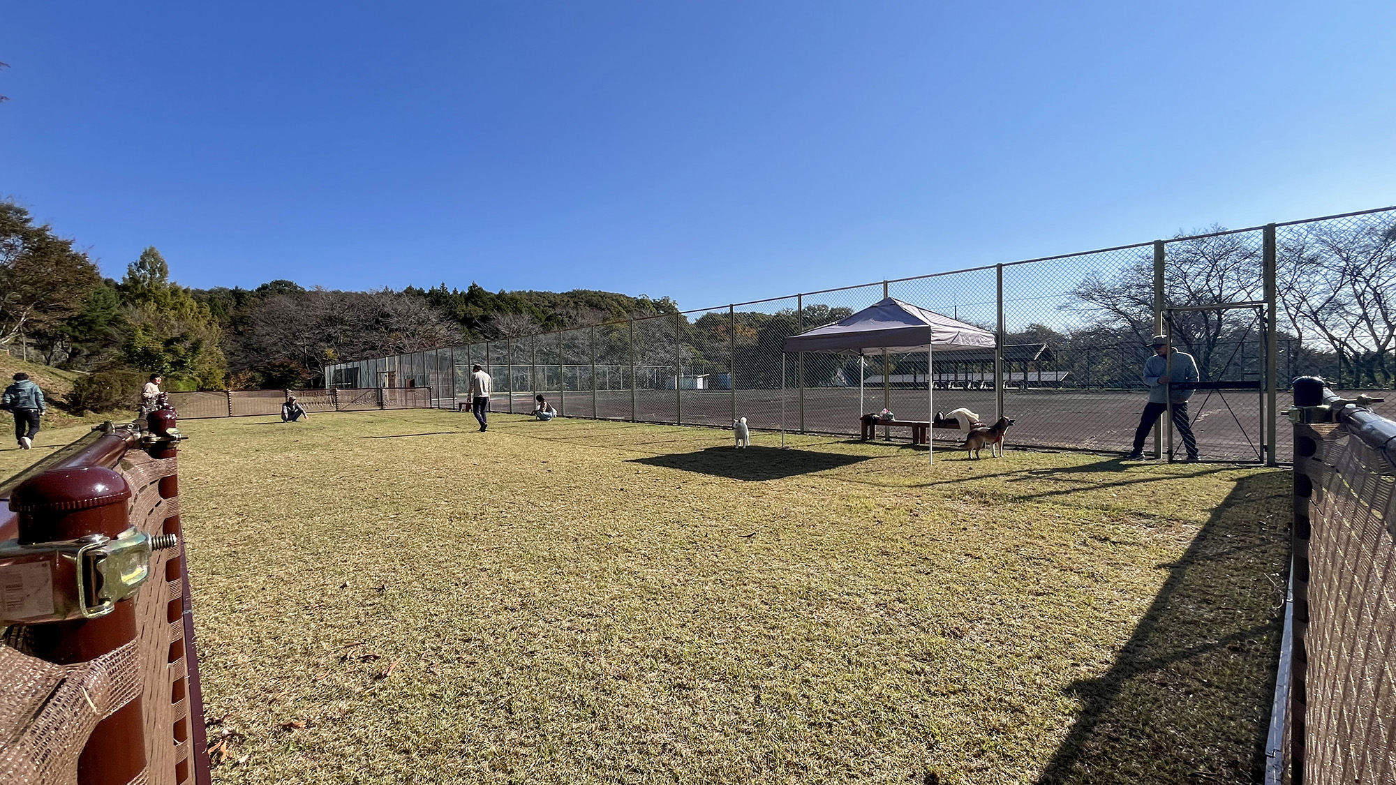 #ドッグラン　日差しを避けられるタープやベンチがあり、飼い主さんも快適に見守れます。