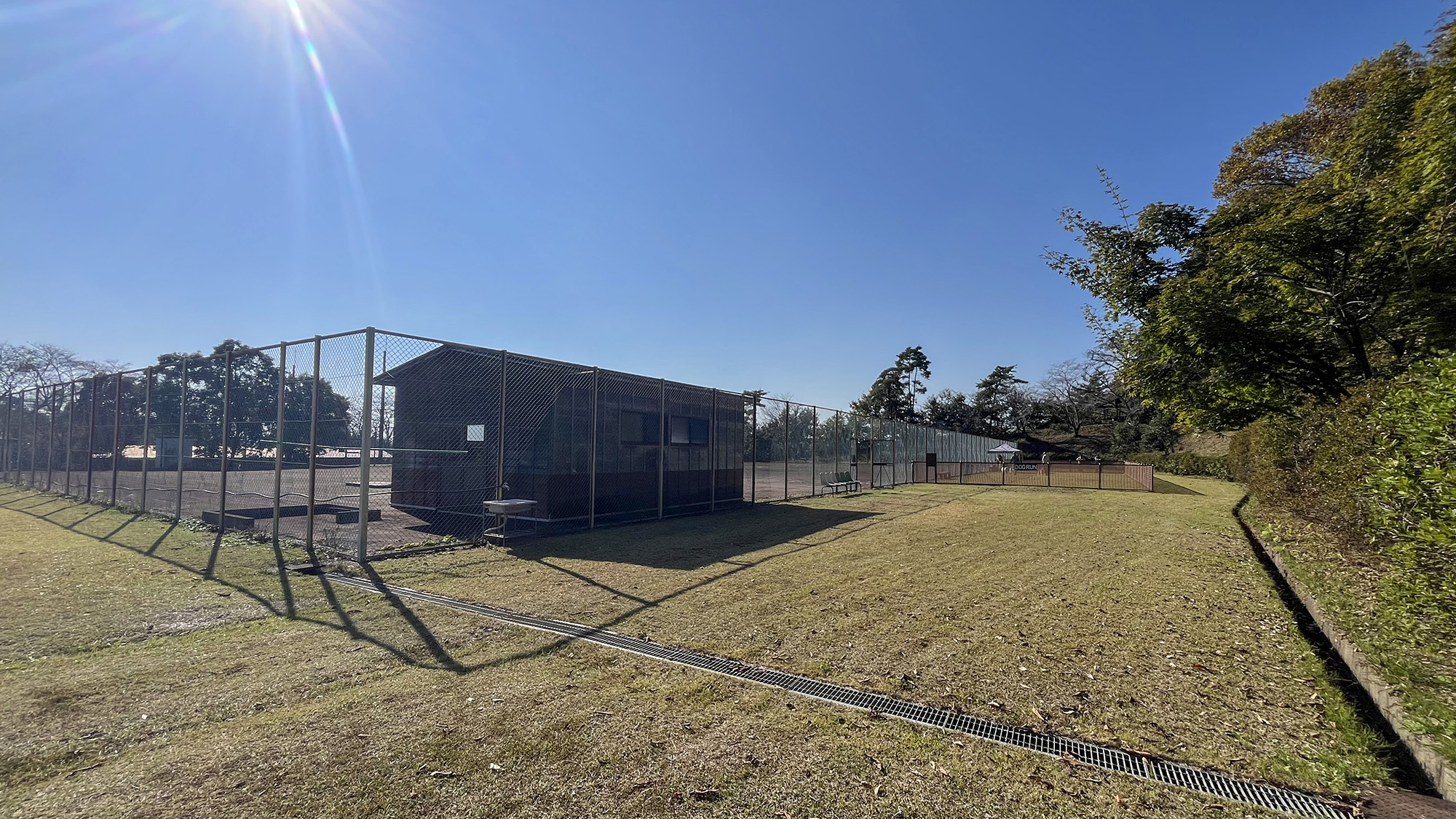 #ドッグラン　愛犬が思いっきり走り回れるドッグランが新しく誕生しました！