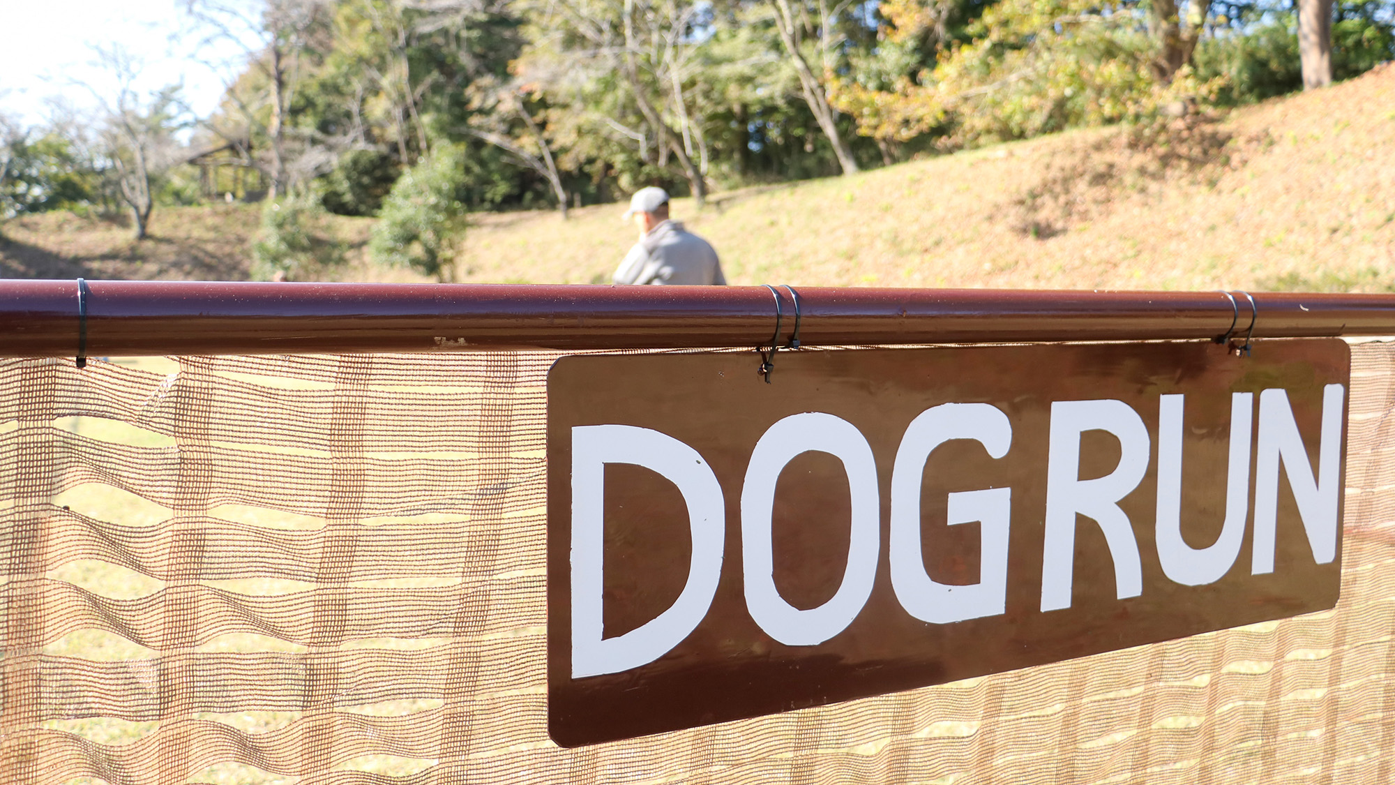 #ドッグラン　1頭1時間500円でご利用可能です。