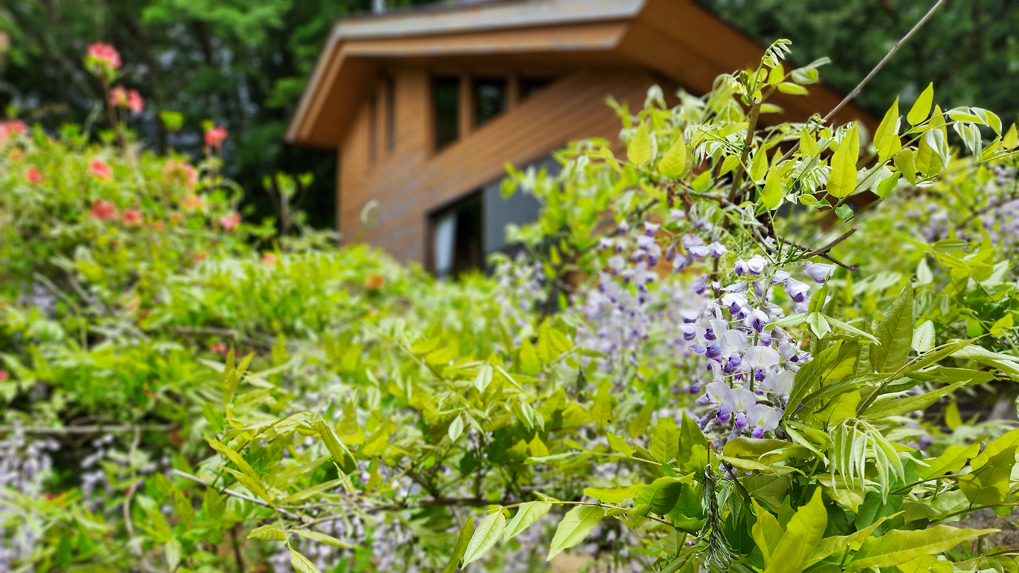 #6人用コテージ