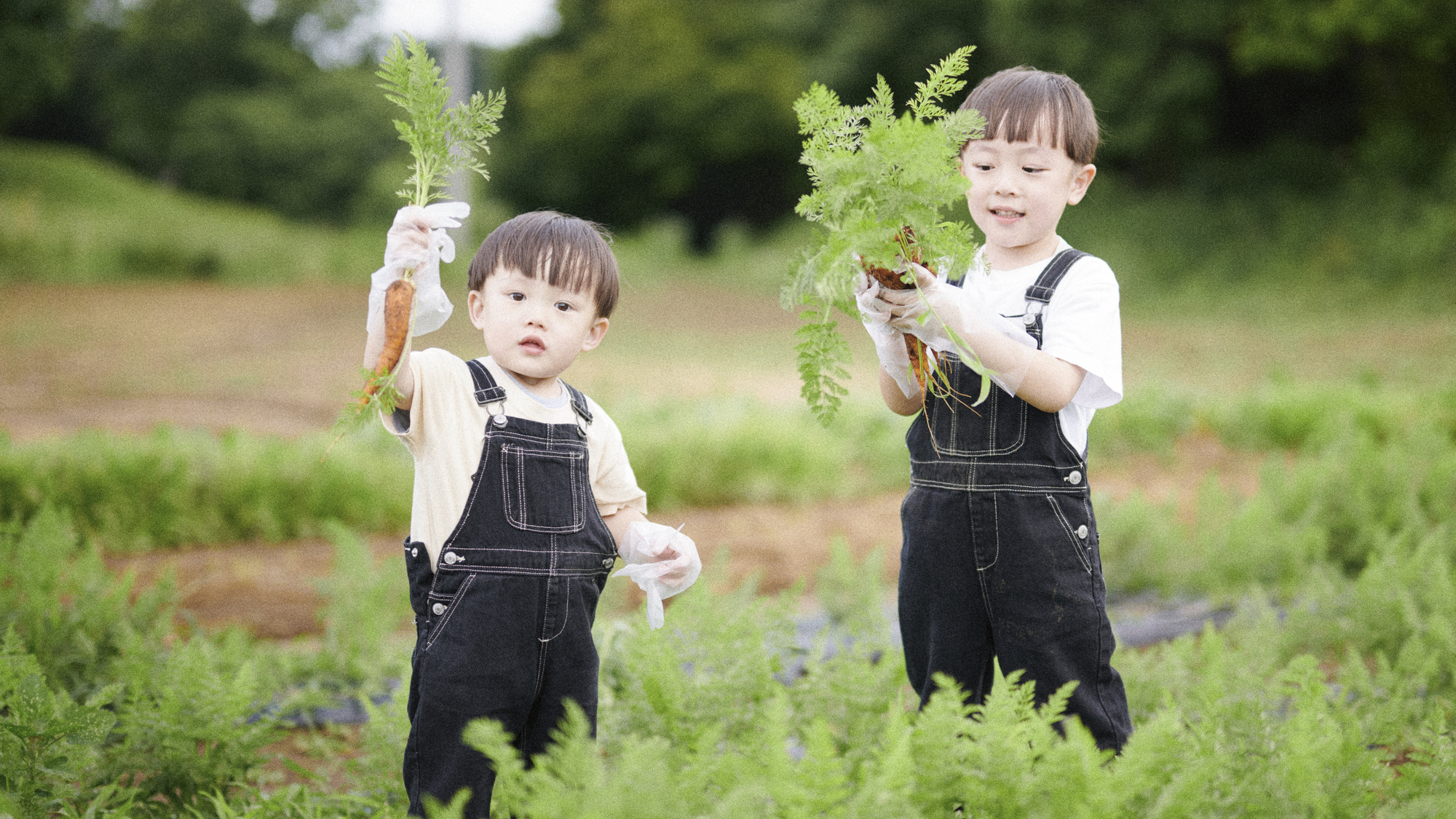 1年を通じて野菜といちごの収穫体験をお楽しみいただけます。千葉県初となるいちごの周年栽培がTHE FARMスロウマウンテン成田に誕生しました。採れたれの新鮮な野菜や果物の美味しさを満喫してください。  ※滞在中、お１人様1回のご利用が可能です。