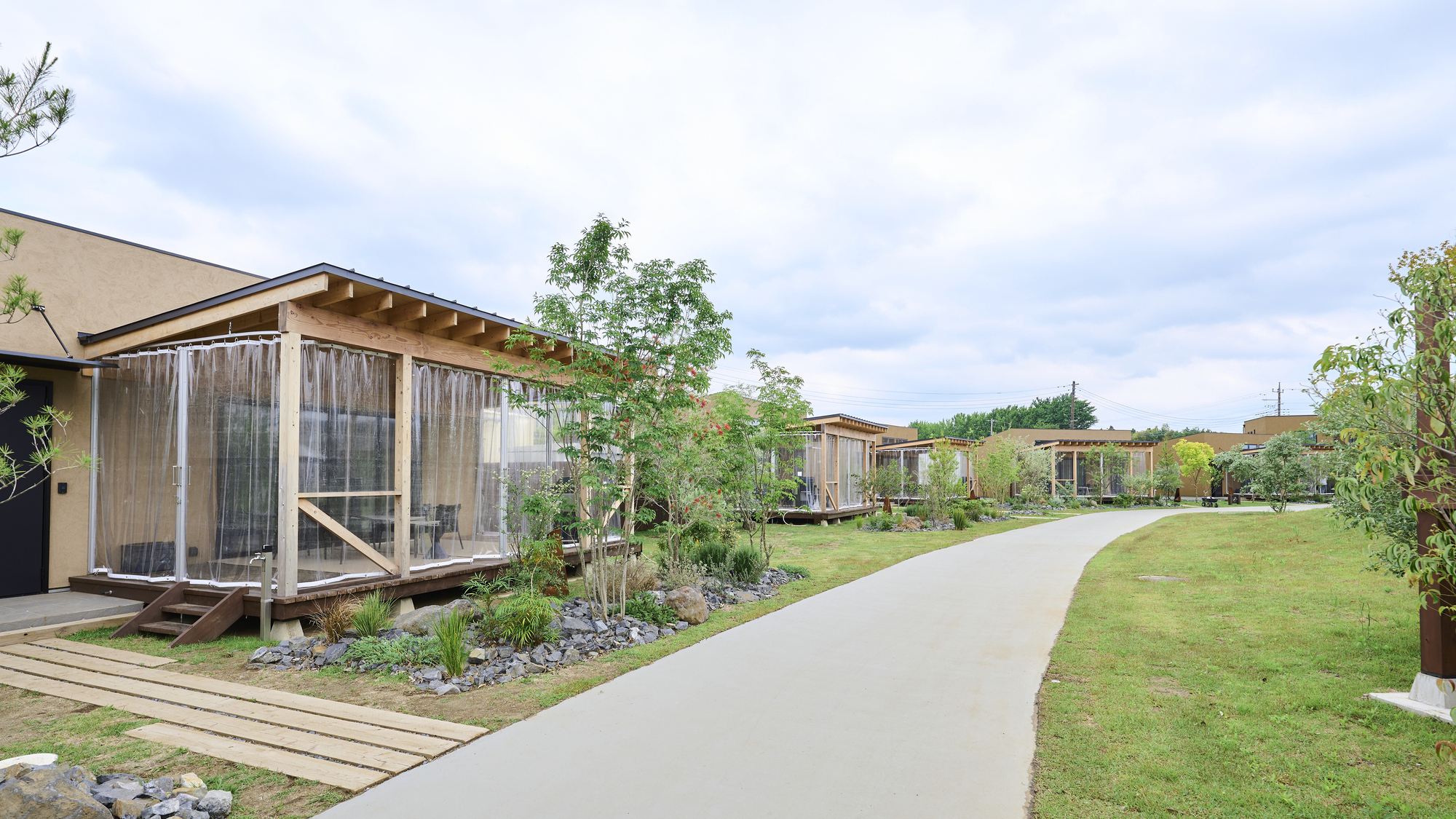 ■スタンダード