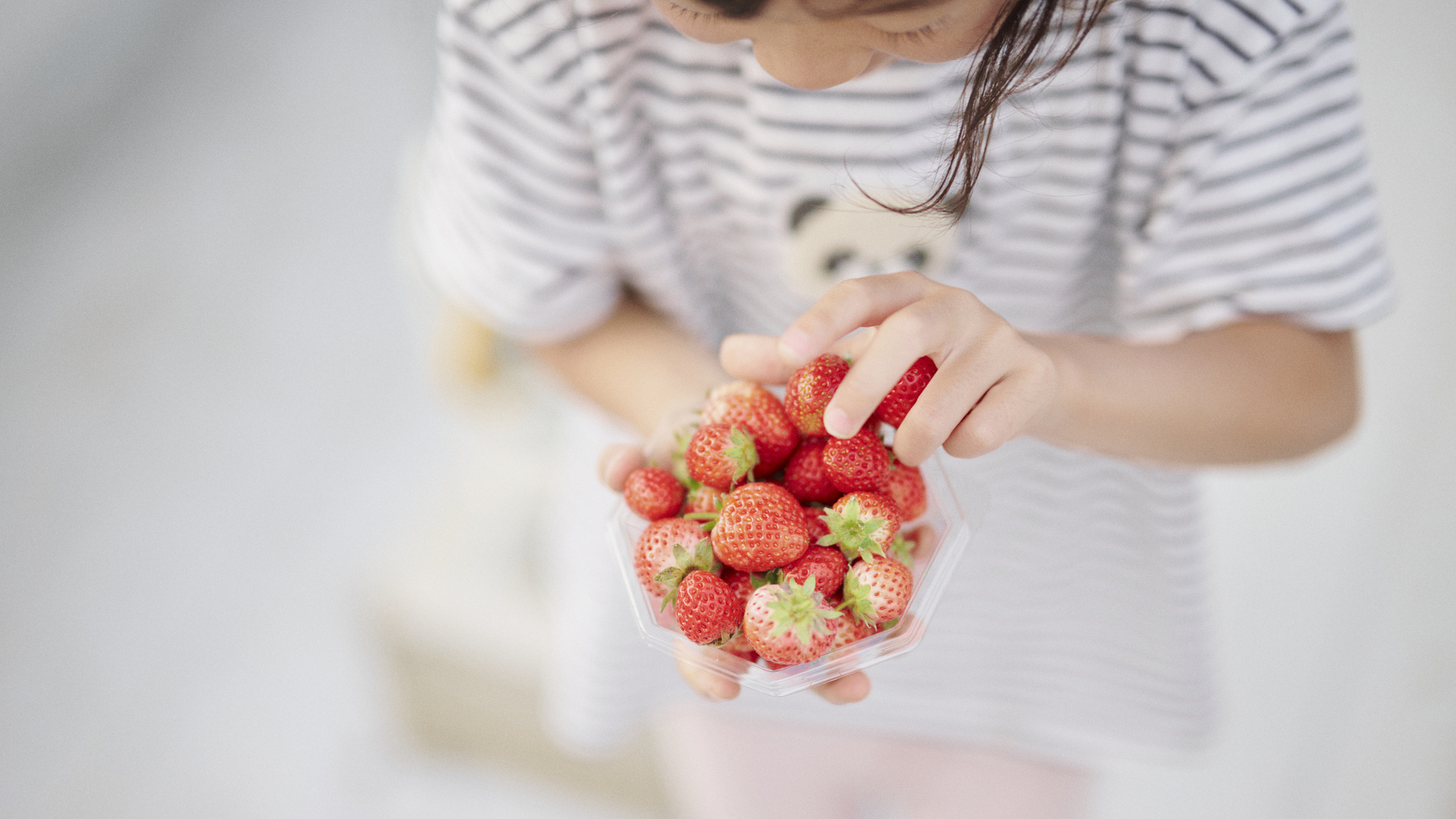 四季折々の収穫体験