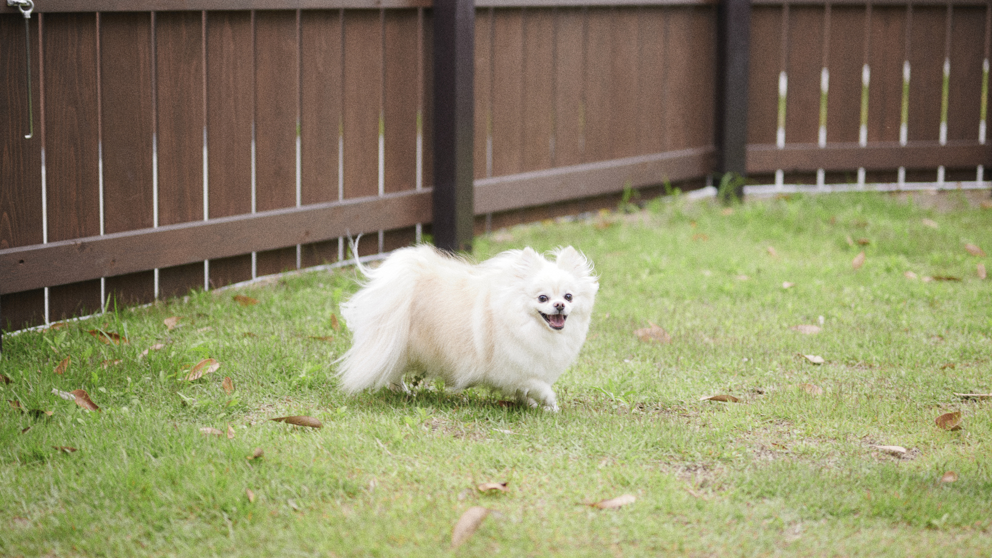 ペットフレンドリー/バリアフリー