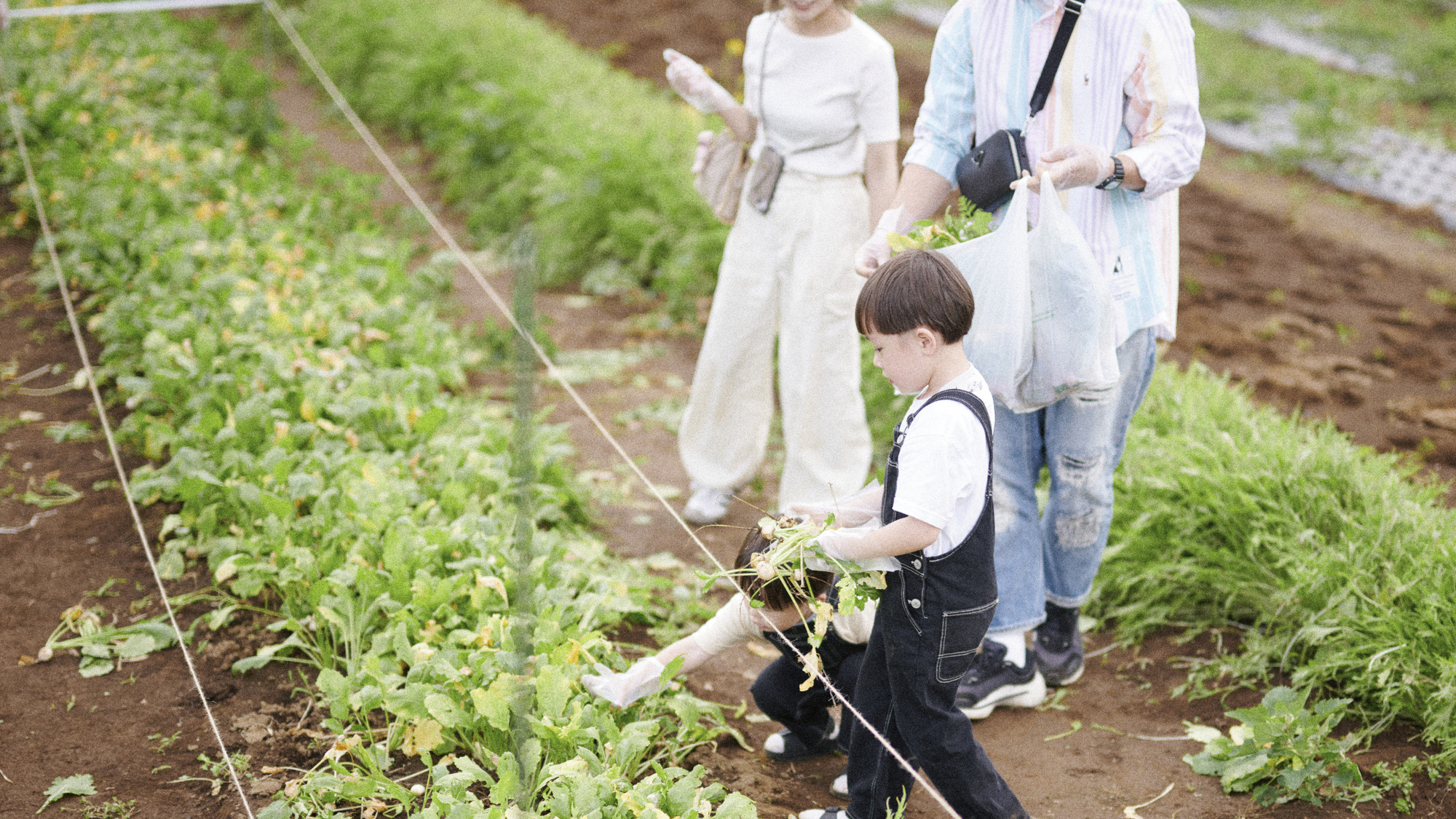 四季折々の収穫体験