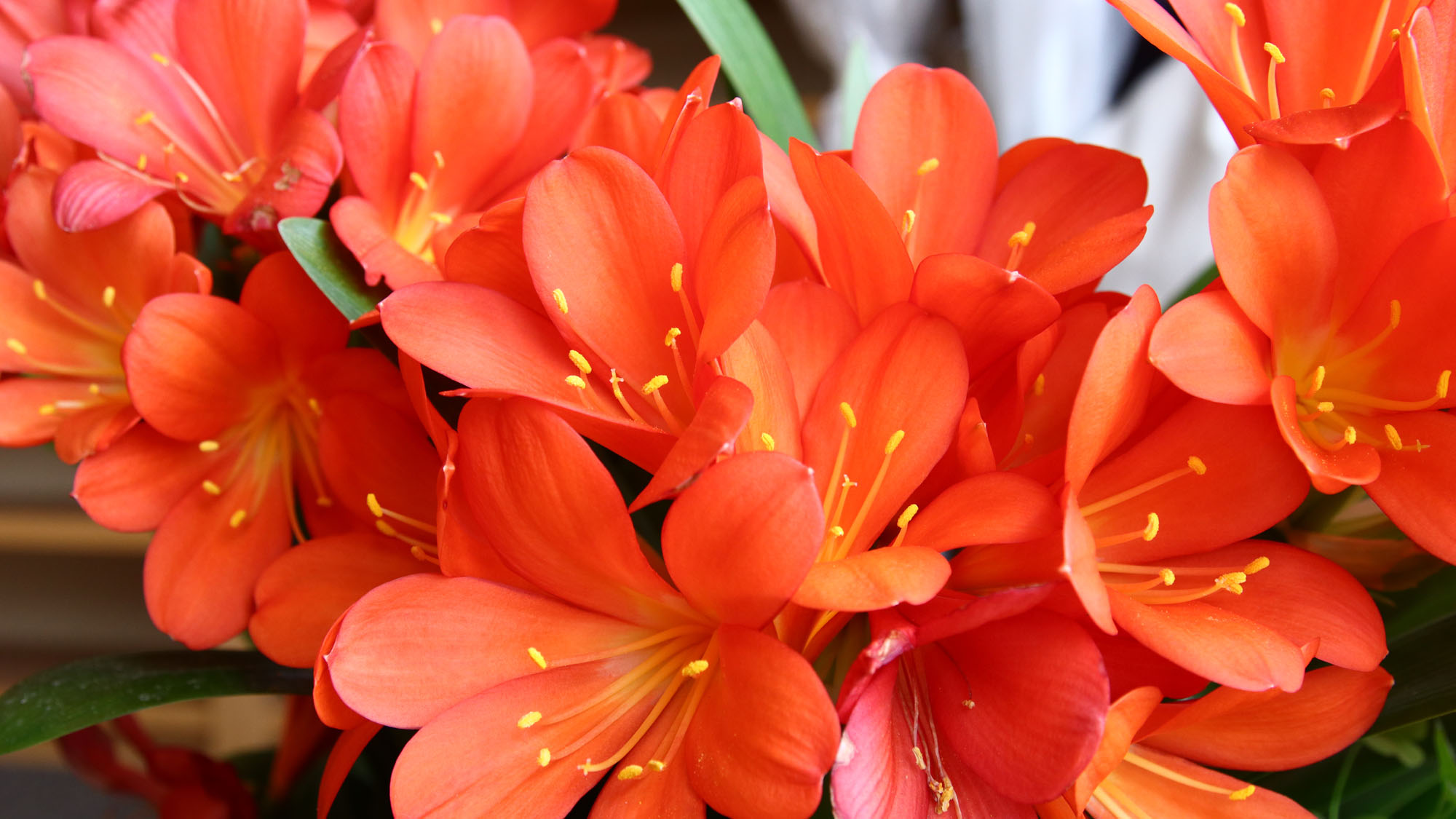 素敵な山梨旅をお楽しみください♪*