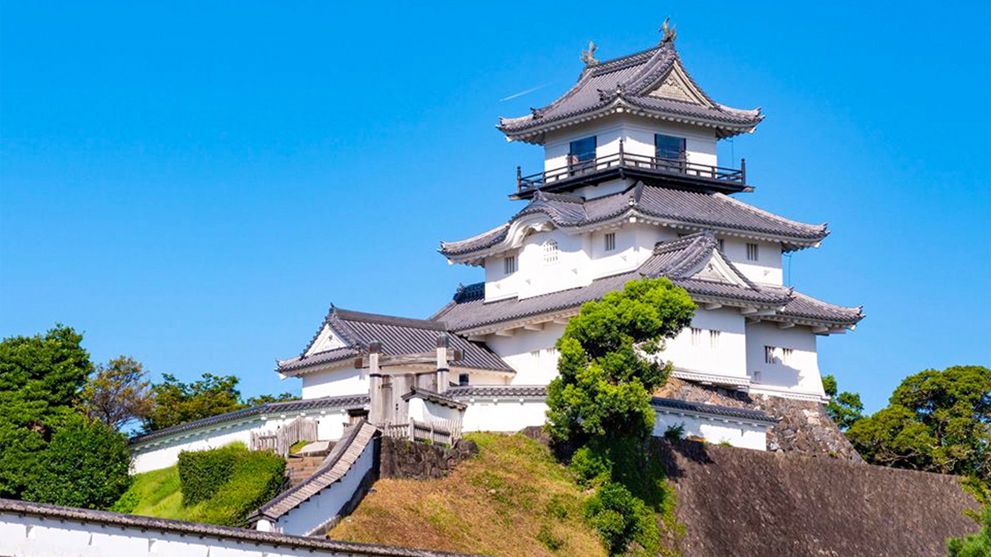 〔素泊〕掛川城城下町の純和風旅館で過ごす落ち着きのひととき　レトロとモダンを感じさせる和のくつろぎ