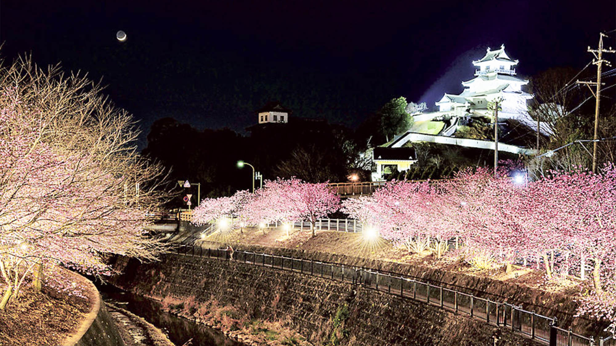 ・【掛川城】ライトアップされたお城は荘厳さを増します。静けさの中、宵散歩はいかがですか