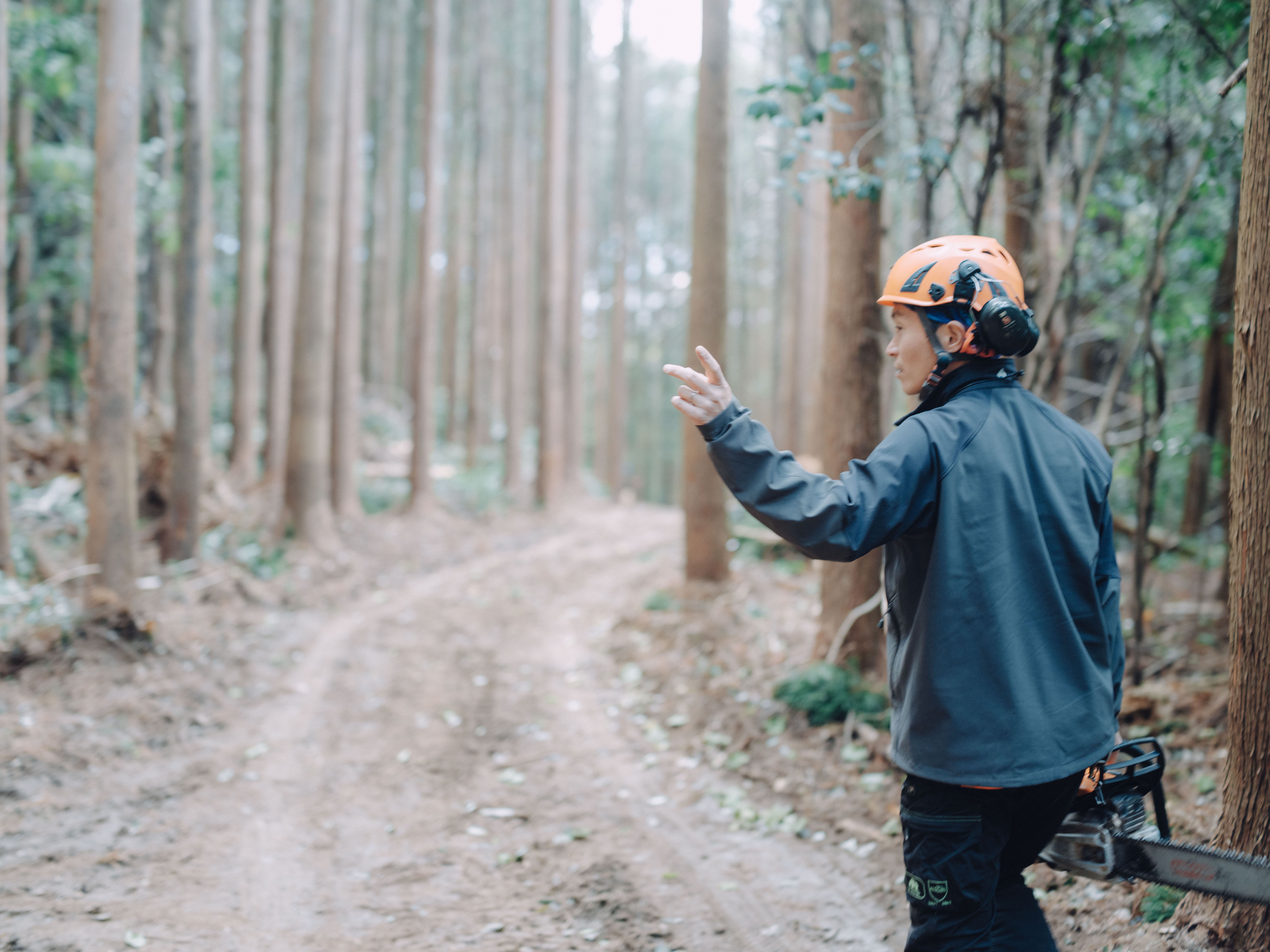 【アクティビティ】林業ツアー