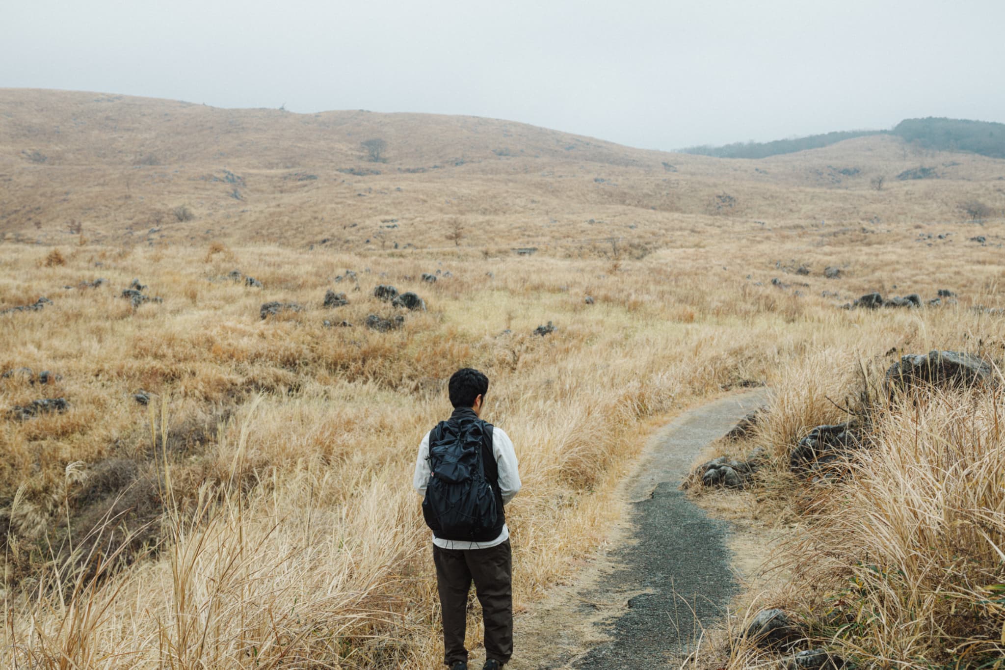 【秋吉台】広がる草原と石灰岩の絶景、秋吉台の自然美