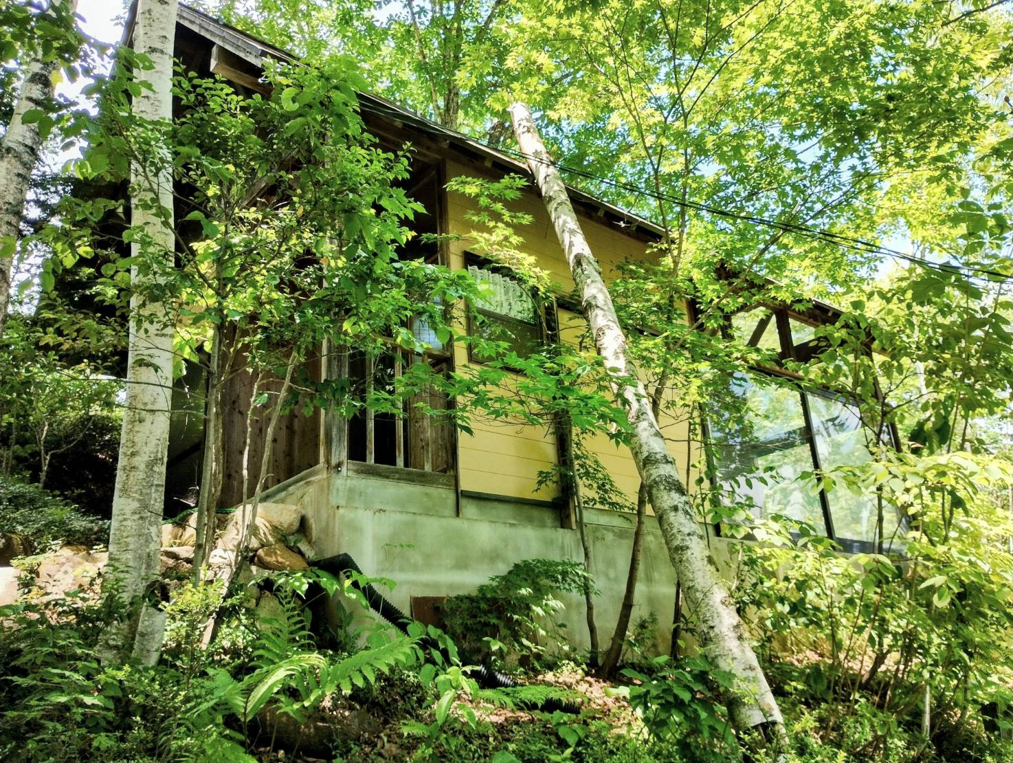 森が彩る四季の湯『森のお風呂』