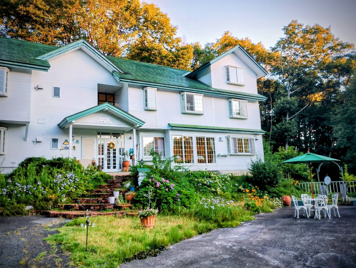 朝陽が眩しい静かな森の宿