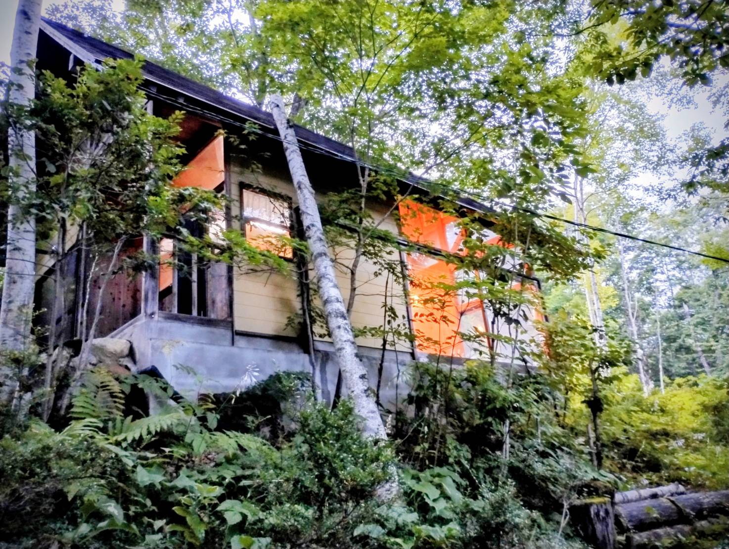 森に囲まれた『貸切・森のお風呂』