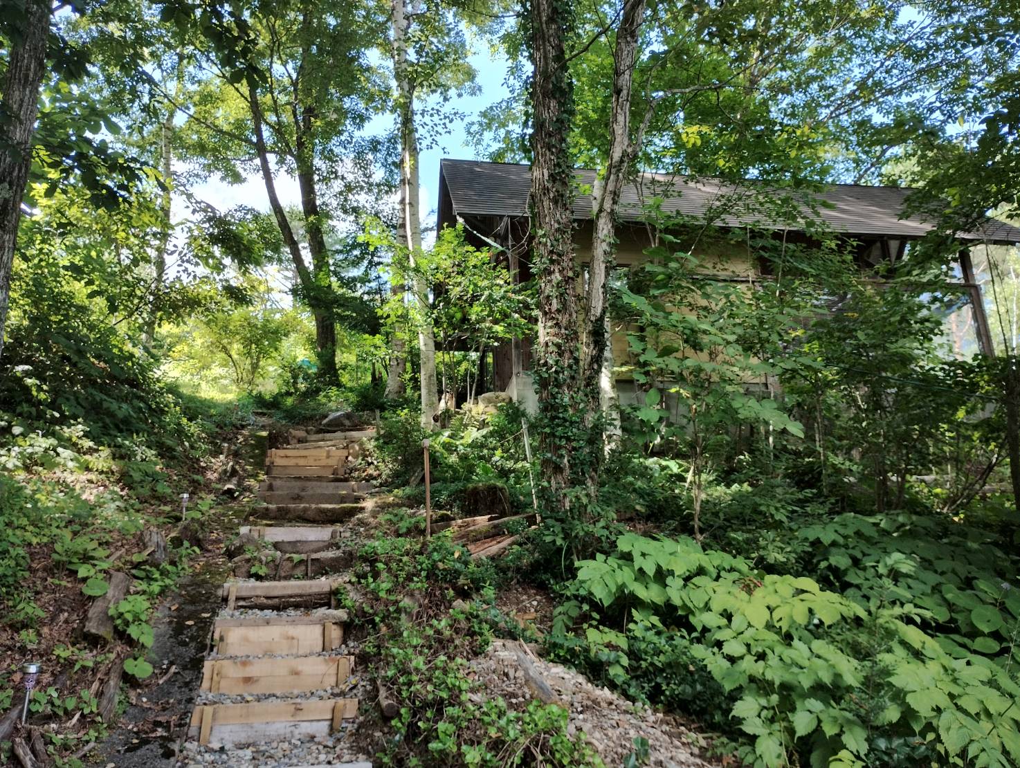 森が彩る四季の湯『森のお風呂』