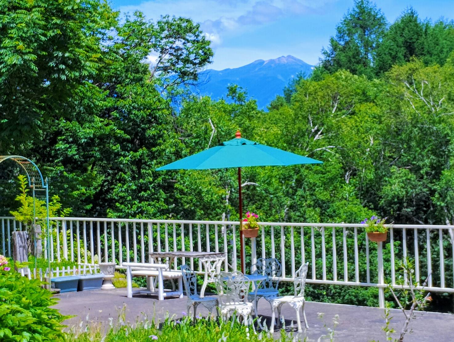 夏の乗鞍岳が一望