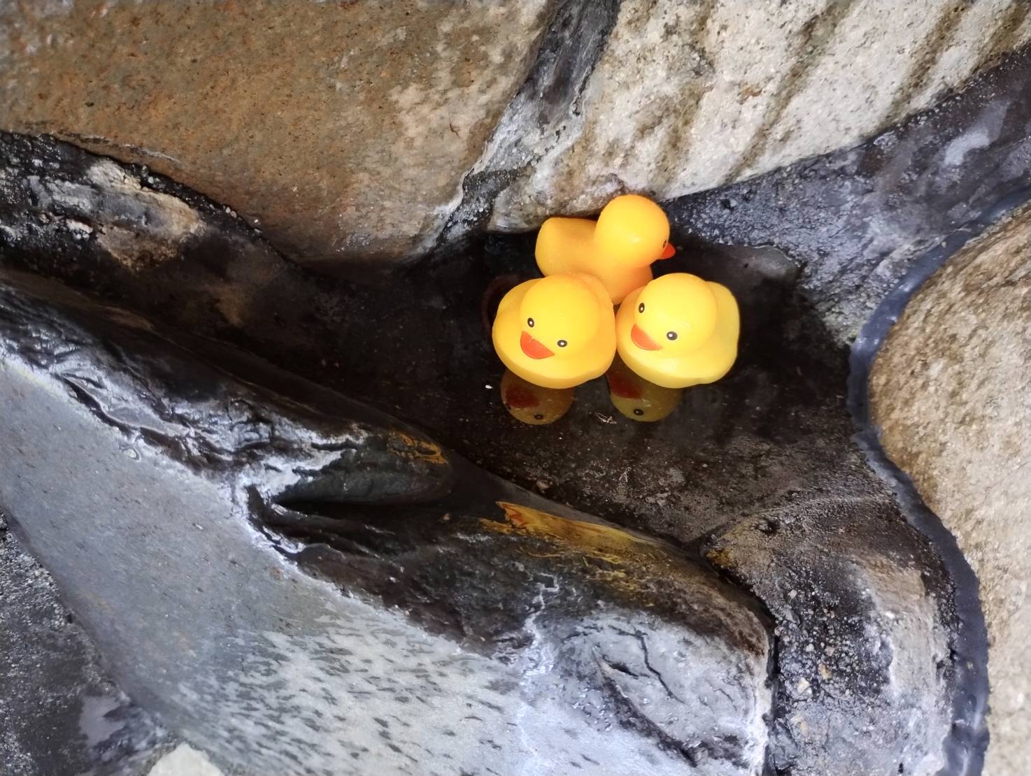 森が彩る四季の湯『森のお風呂』