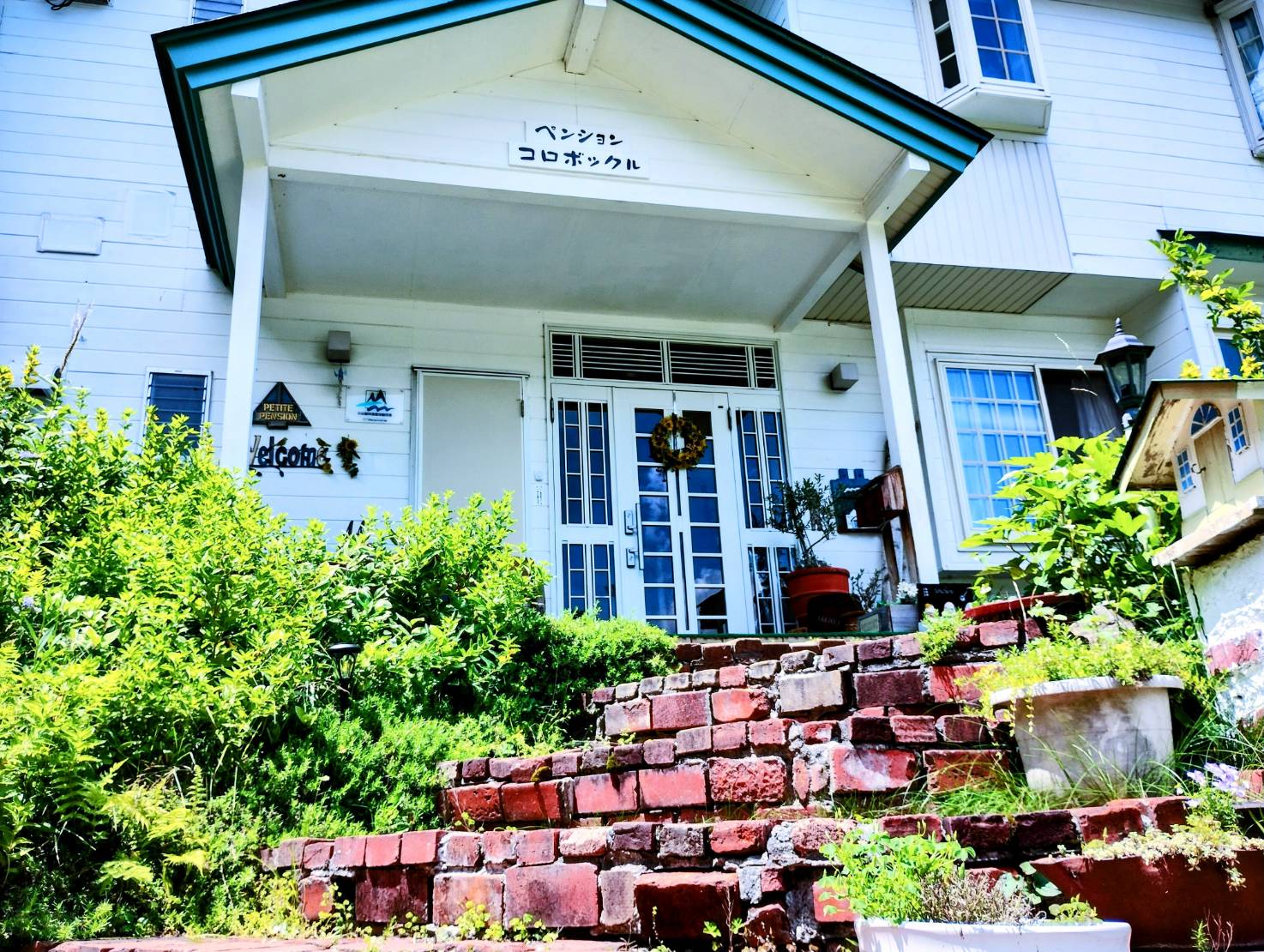 初夏のコロボックル