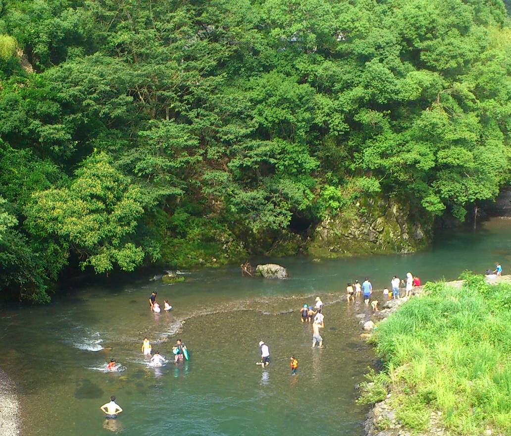 敷地横を流れる高時川