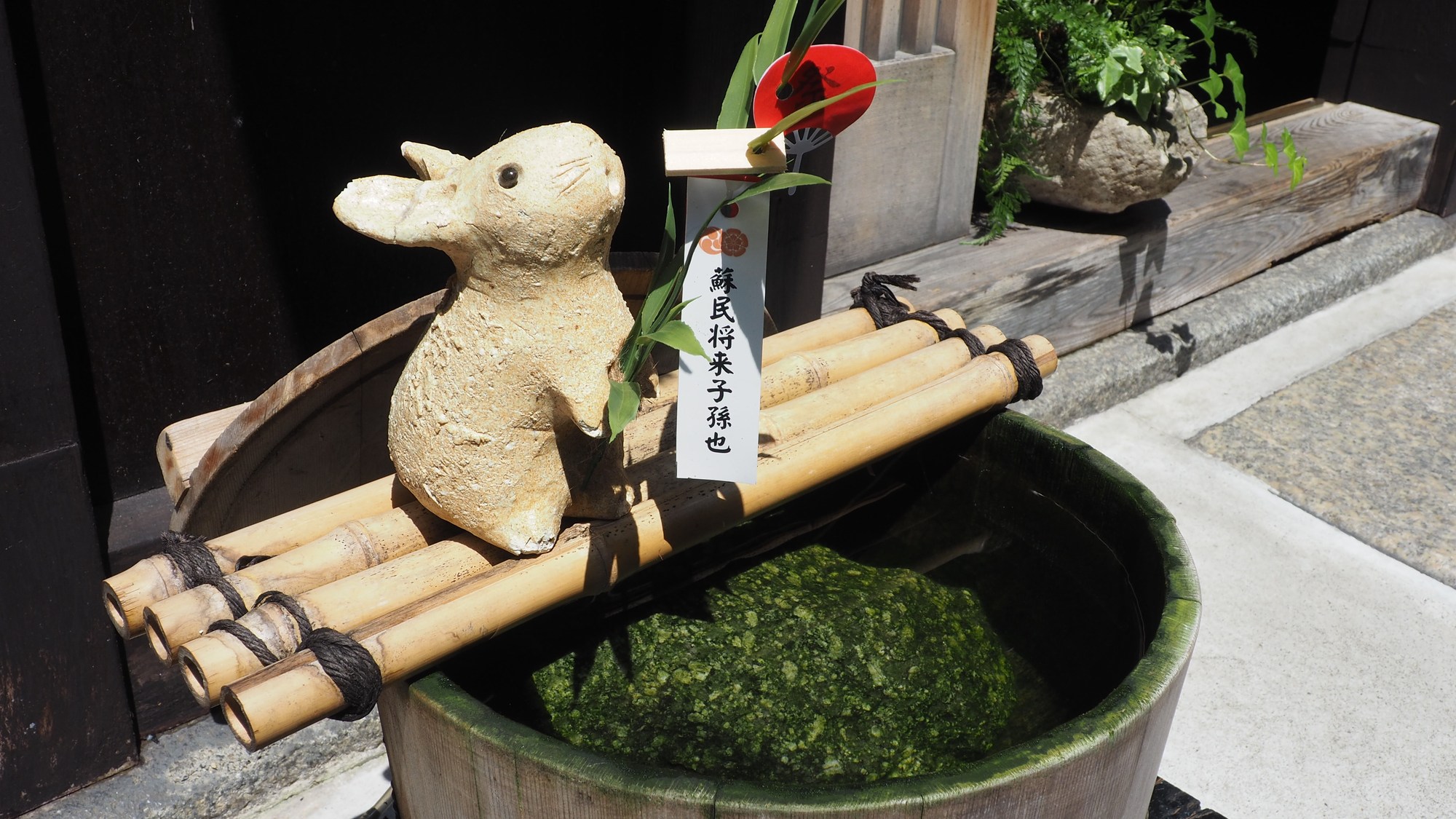 Ｈｏｔｅｌ　Ｅｓｐａｓｉｏｎ　Ｐｏｎｔｏｃｈｏ - 写真 118