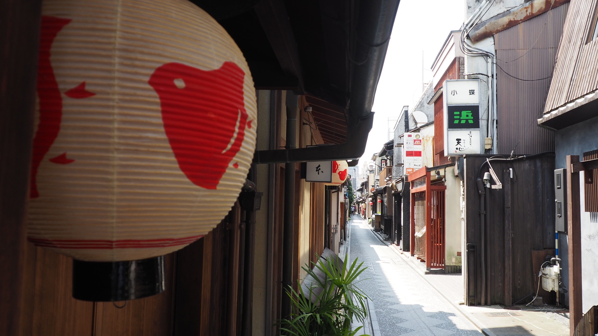 Ｈｏｔｅｌ　Ｅｓｐａｓｉｏｎ　Ｐｏｎｔｏｃｈｏ - 写真 110