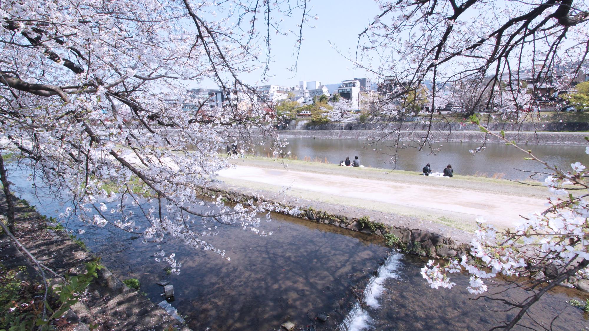 Ｈｏｔｅｌ　Ｅｓｐａｓｉｏｎ　Ｐｏｎｔｏｃｈｏ - 写真 92