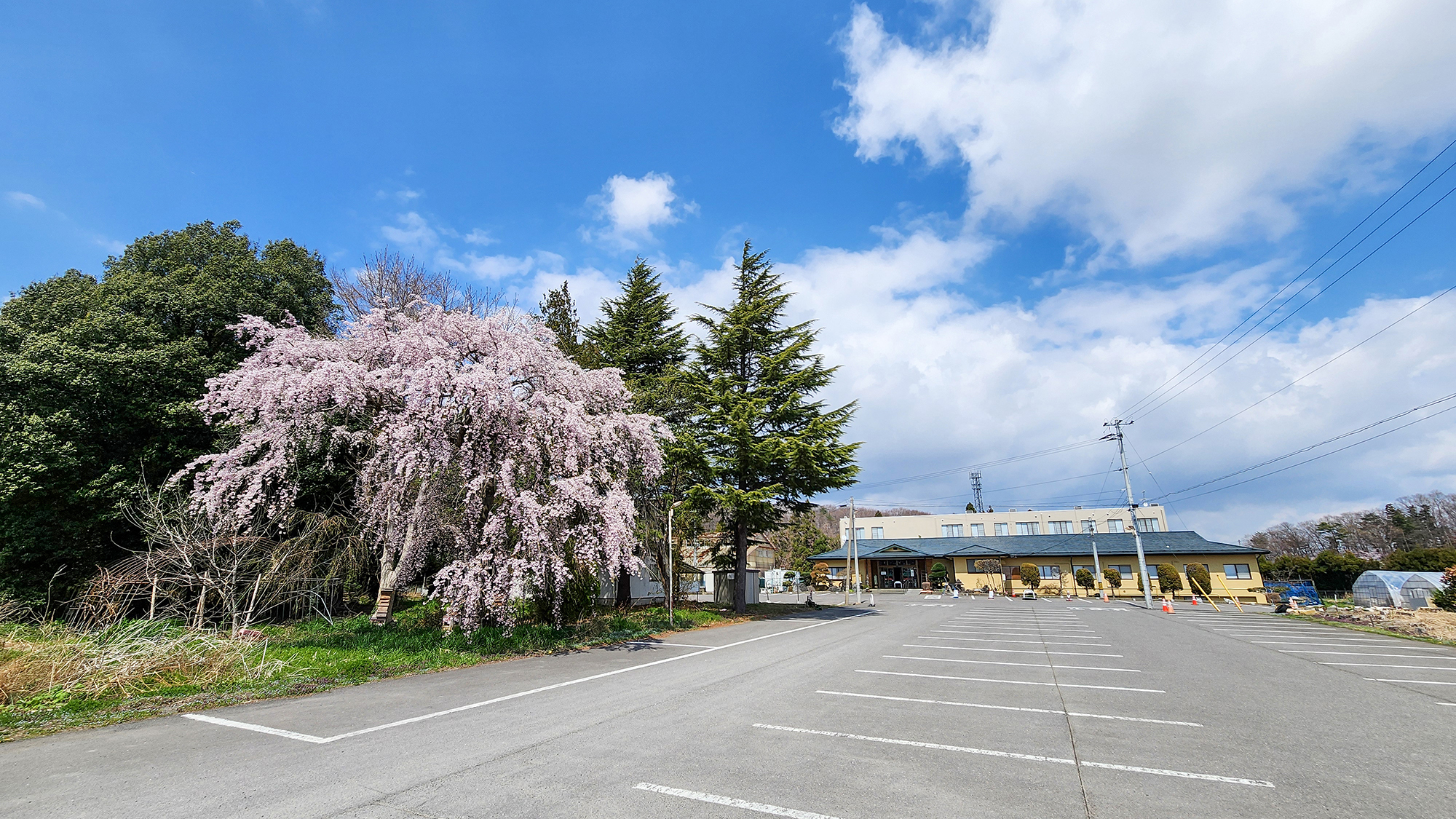#外観　桜咲く季節の郡山温泉は格別な風情