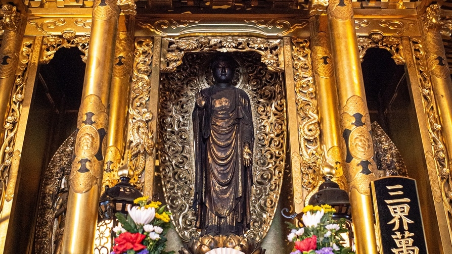 【写経体験】当館より徒歩５分◆宗安寺にて井伊家・石田家ゆかりのお寺体験プラン｜素泊り