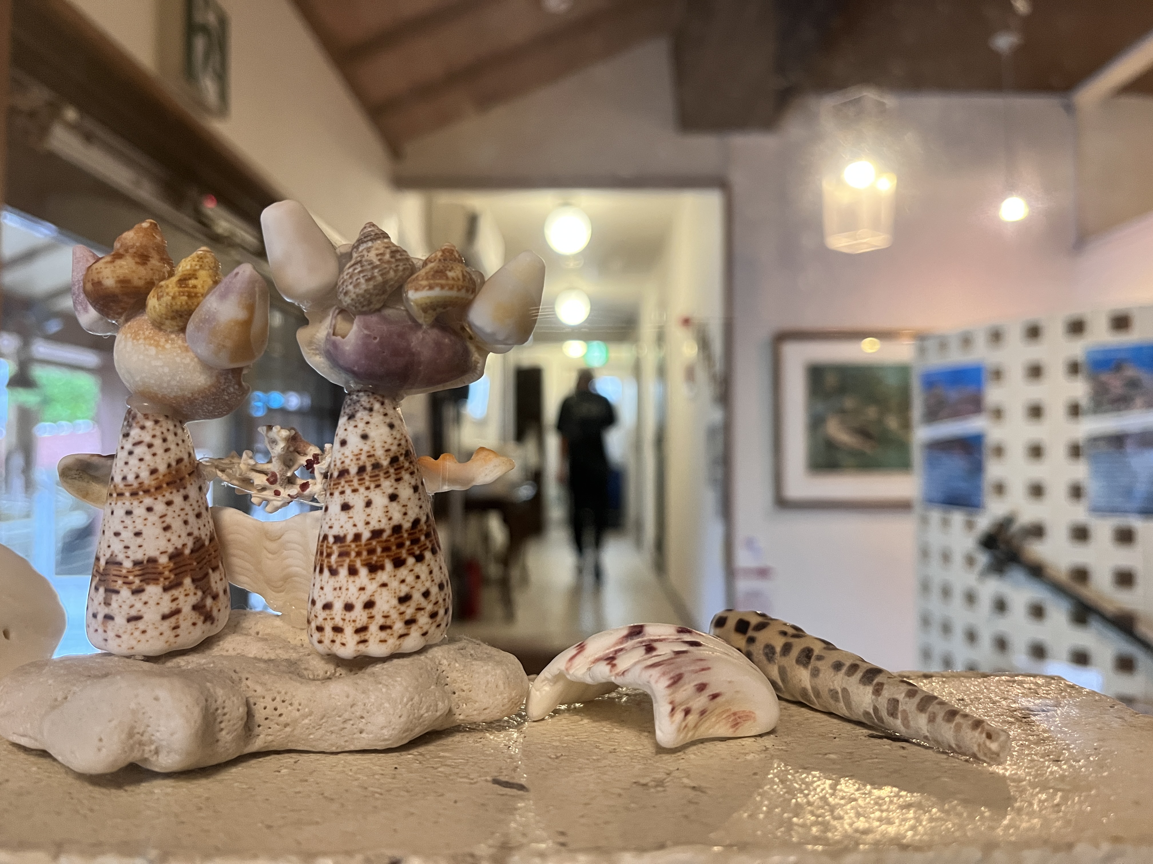 【館内イメージ】さりげなく見守る貝殻シーサー