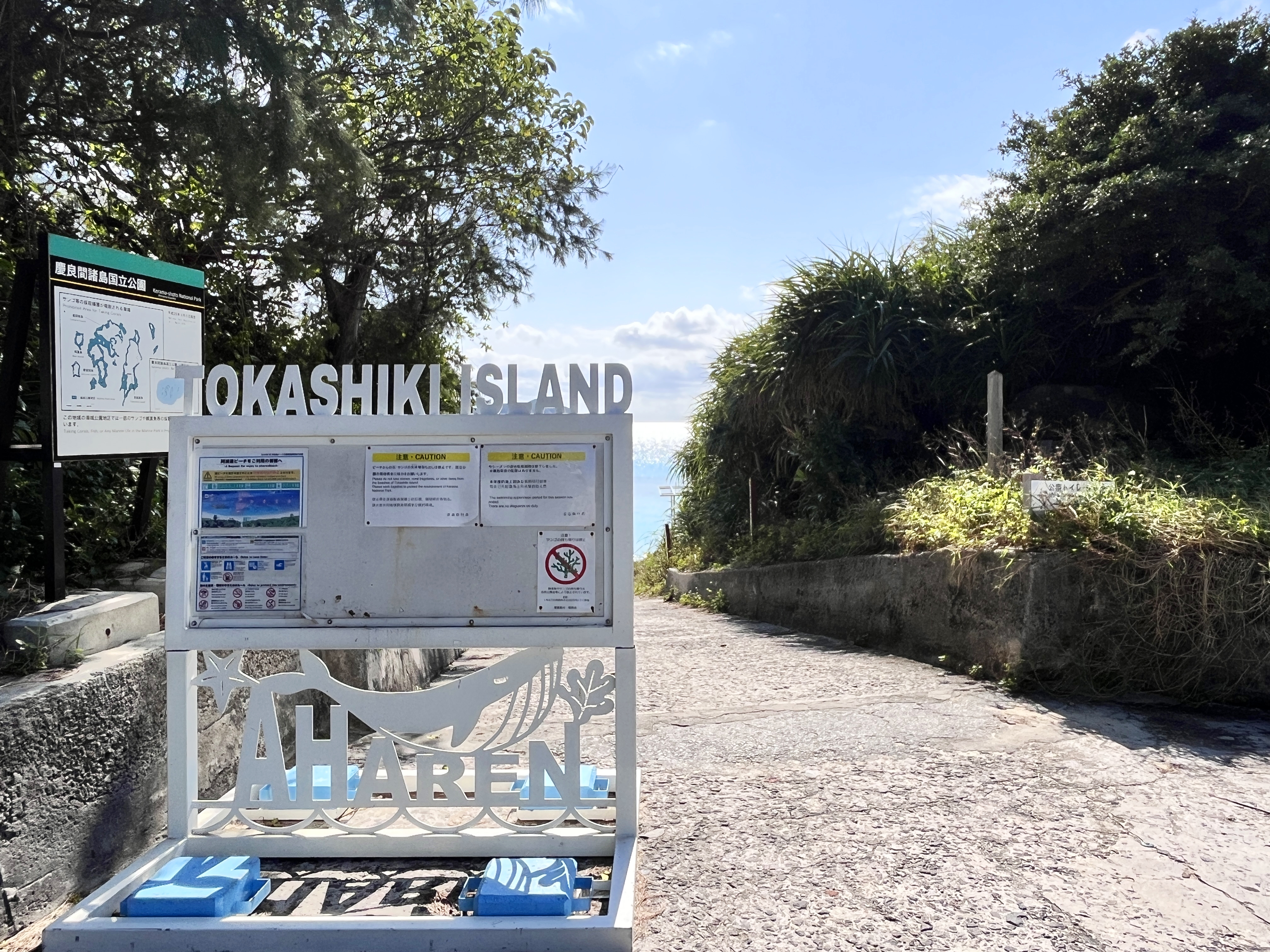 【阿波連ビーチ】ニライカナイからダッシュ20秒くらい！