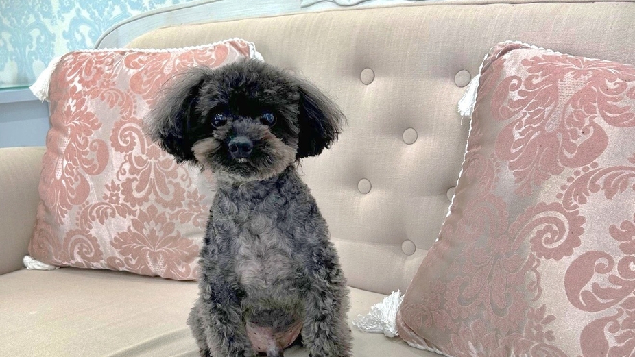 【素泊り】出雲で過ごす、自由で穏やかな夜　観光起点に！