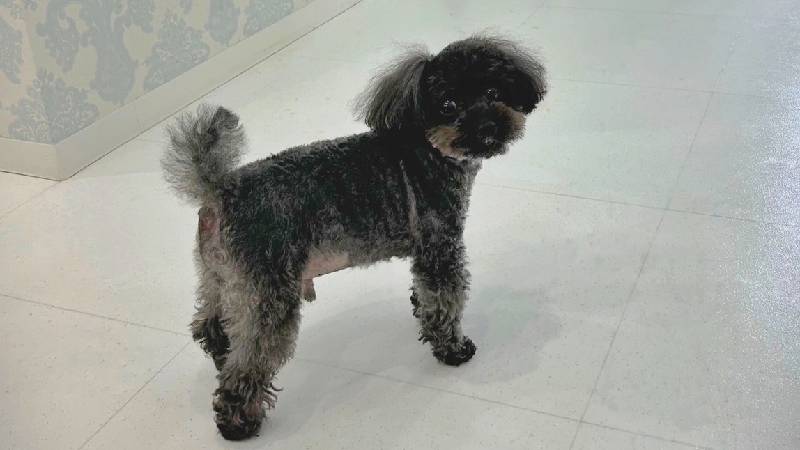 【3連泊以上でお得】素泊まり☆ロングステイプラン≪1泊あたり 最大7，000円OFF！≫