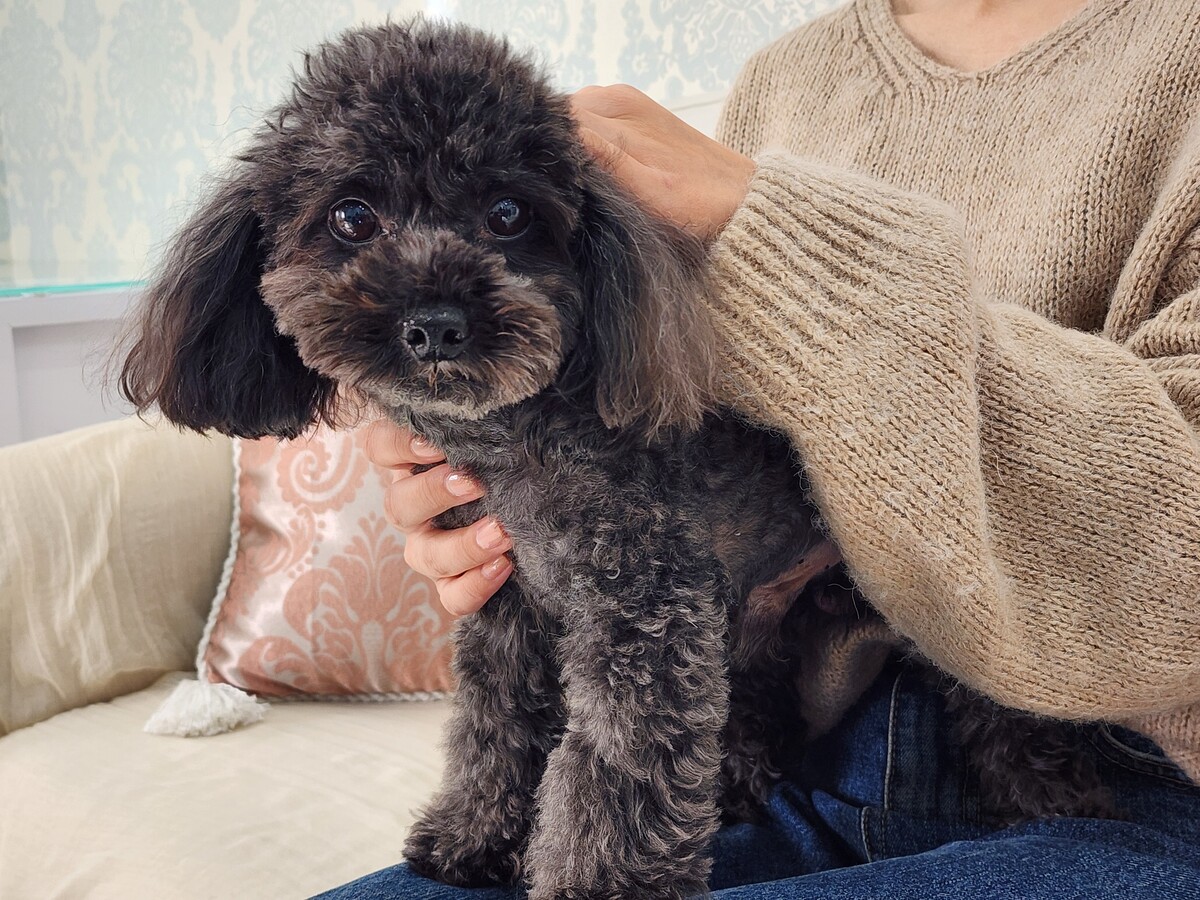 ワンちゃん連れも大歓迎♪