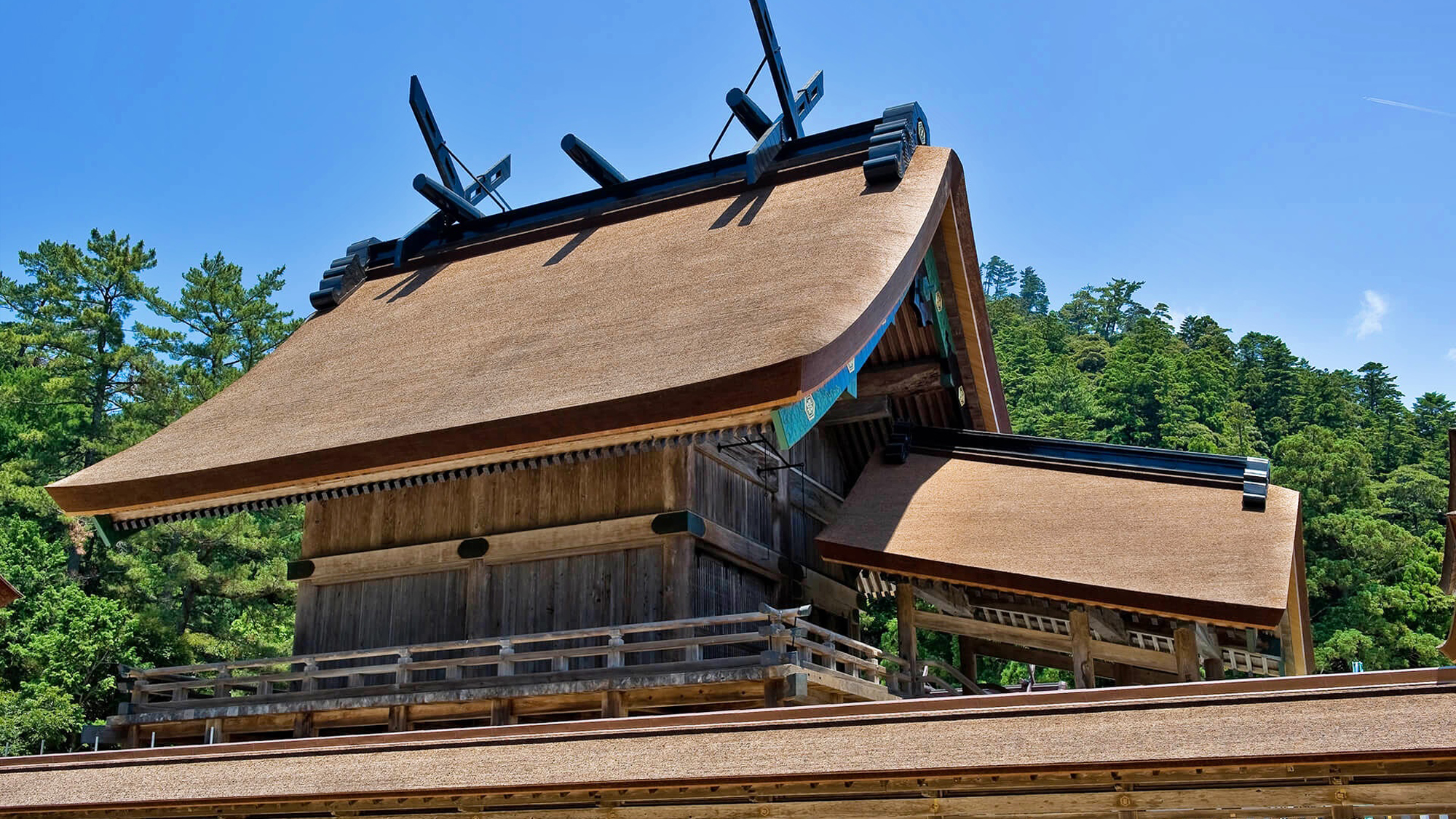 【観光】出雲大社
