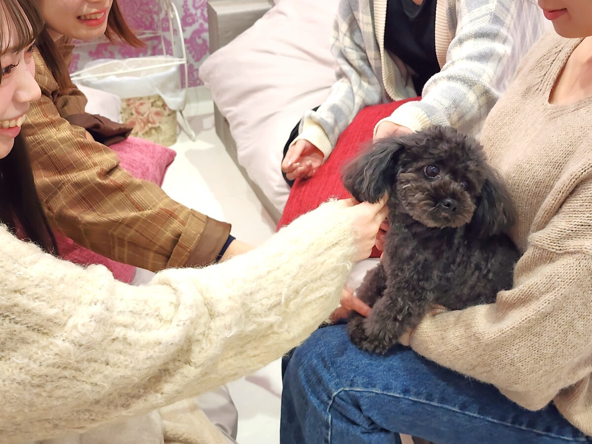 ワンちゃん連れも大歓迎♪