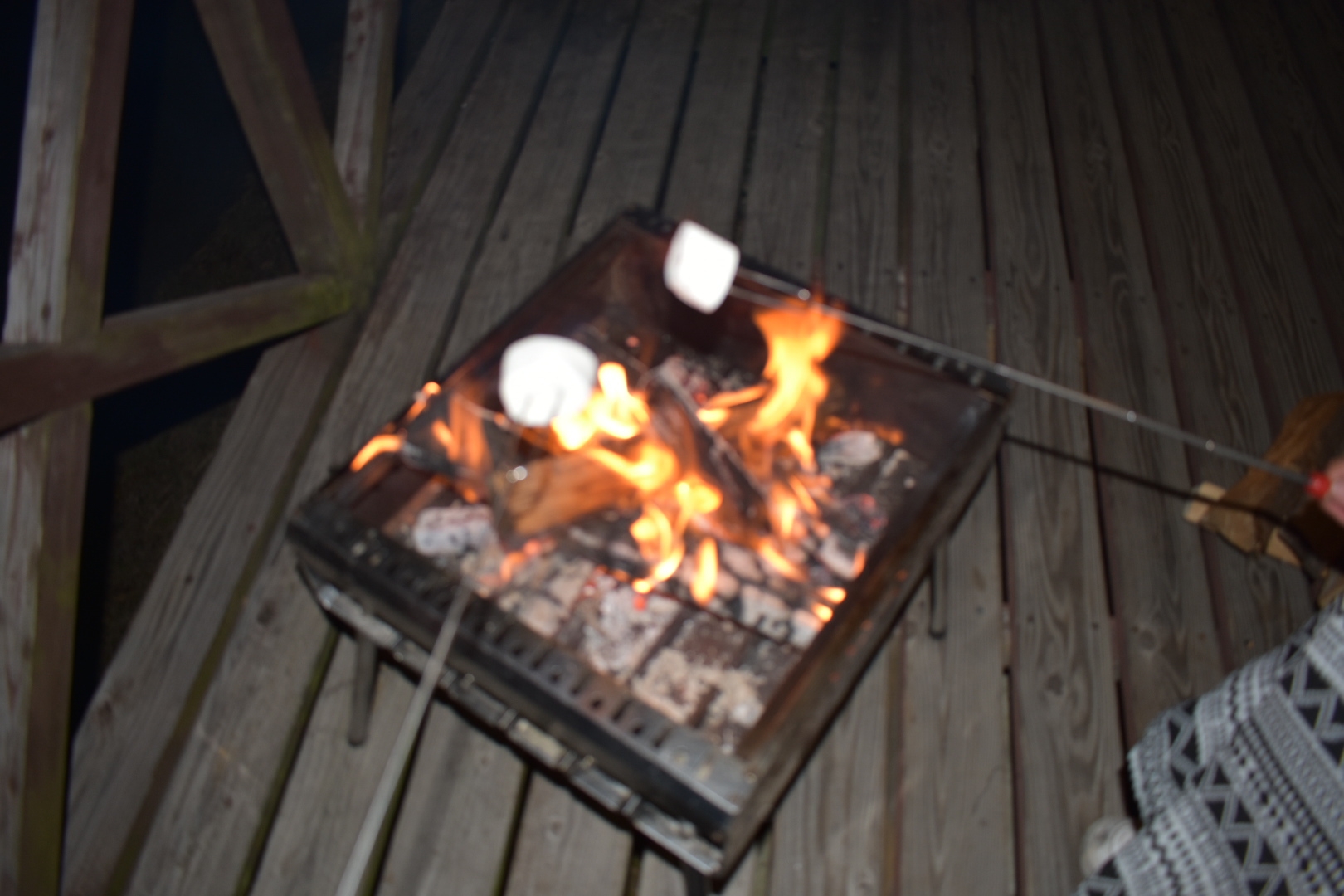 釣って、泊まる。春の海あそびキャンププラン