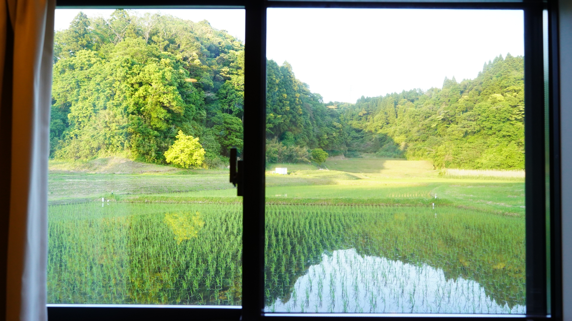 【客室】田んぼと森が織りなす美しい景観をお楽しみくださいませ。