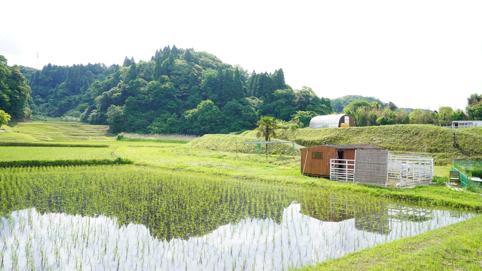 【周辺】里山の静けさと自然を感じるロケーションです