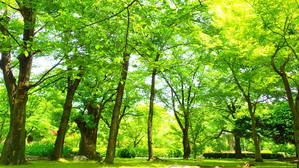 【早割60日前】早めのご予約でお得 2025年OPEN 北海道ニセコひらふで広々ヴィラ滞在