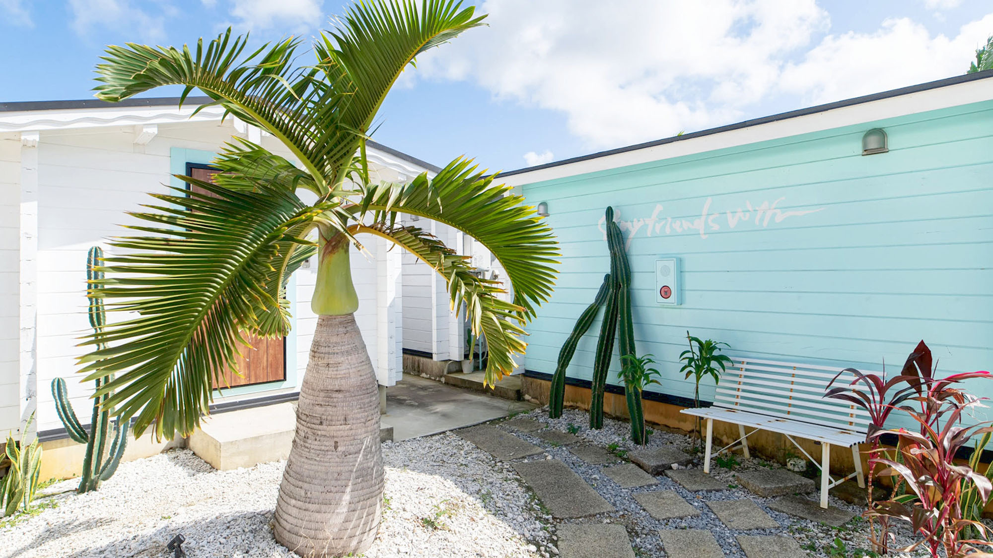 ・【外観】雄大なソテツが佇む庭。ログハウスで宮古島の自然を独り占め