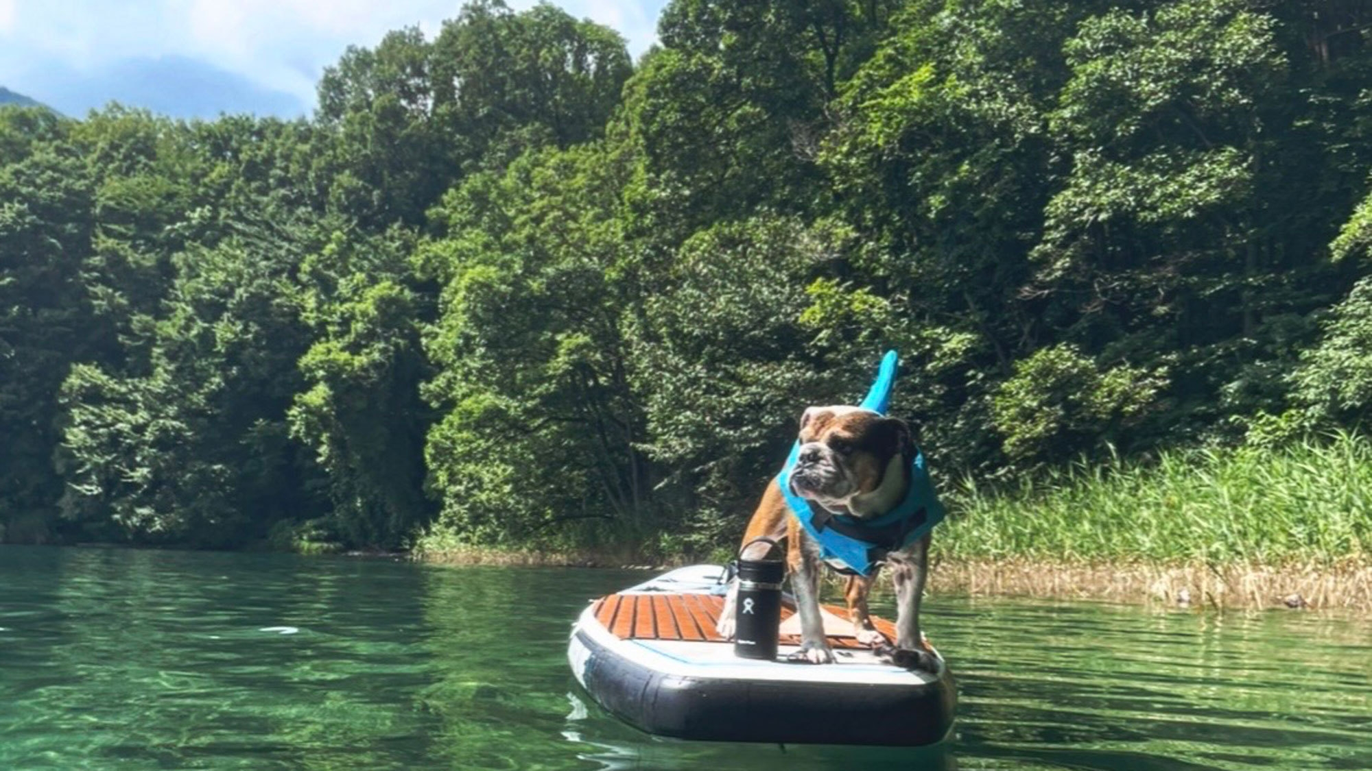 ★SUP、カヌー、カヤック体験・割引プラン★宿泊者限定割引＜愛犬OK＞連泊素泊／予約時確認事項あり