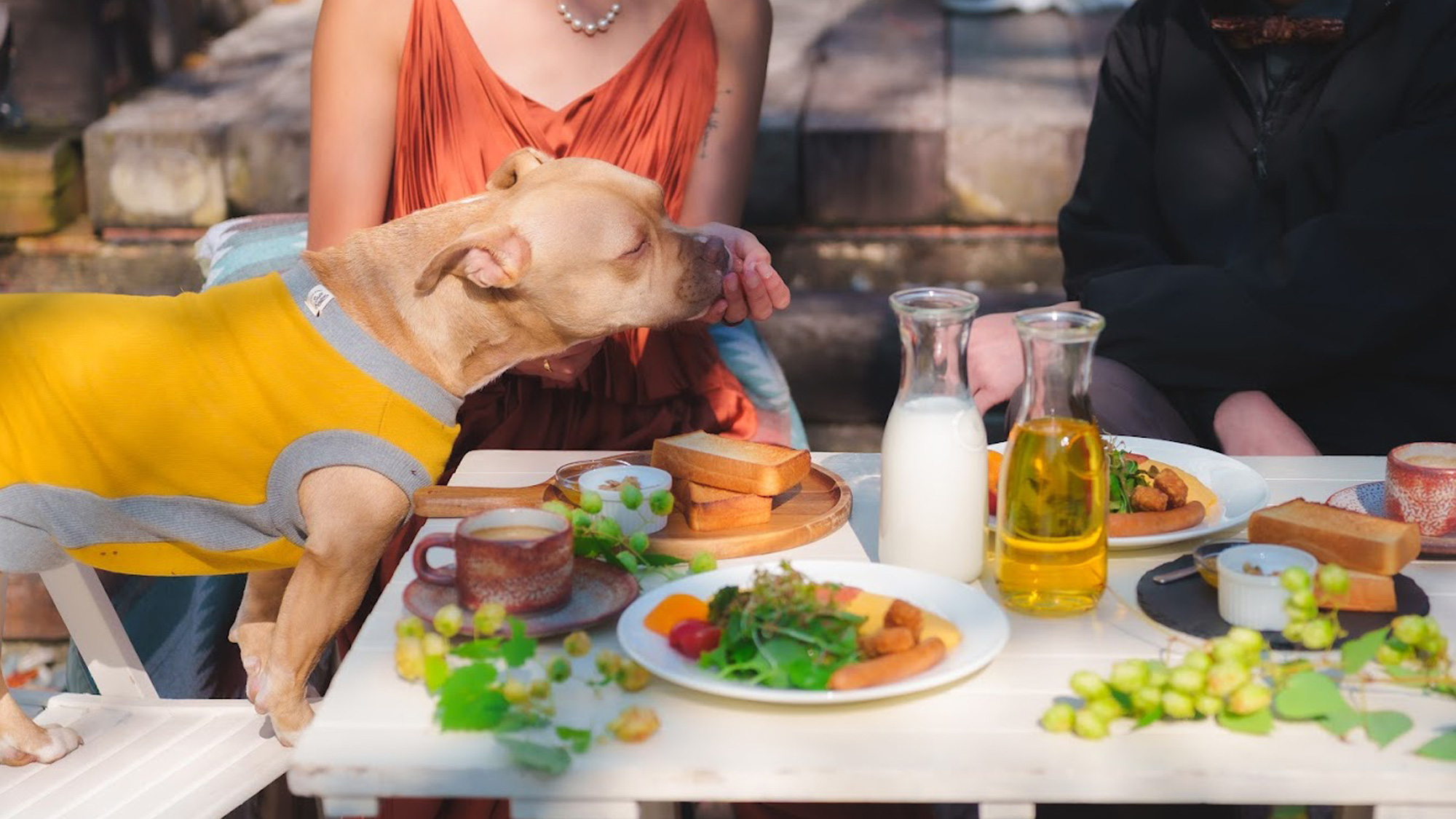 【朝食一例】晴れた日は愛犬とテラスで朝陽を浴びながら朝食を♪（要事前予約）