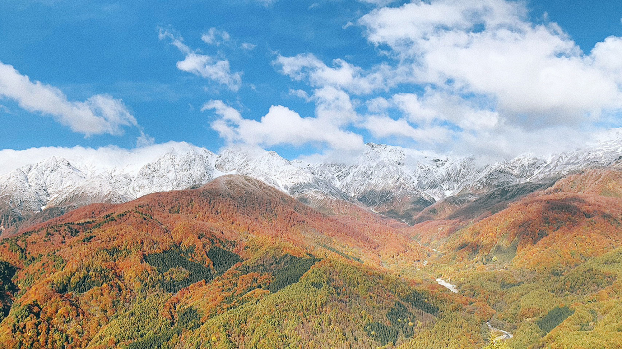 今年の紅葉シーズンは白馬で♪