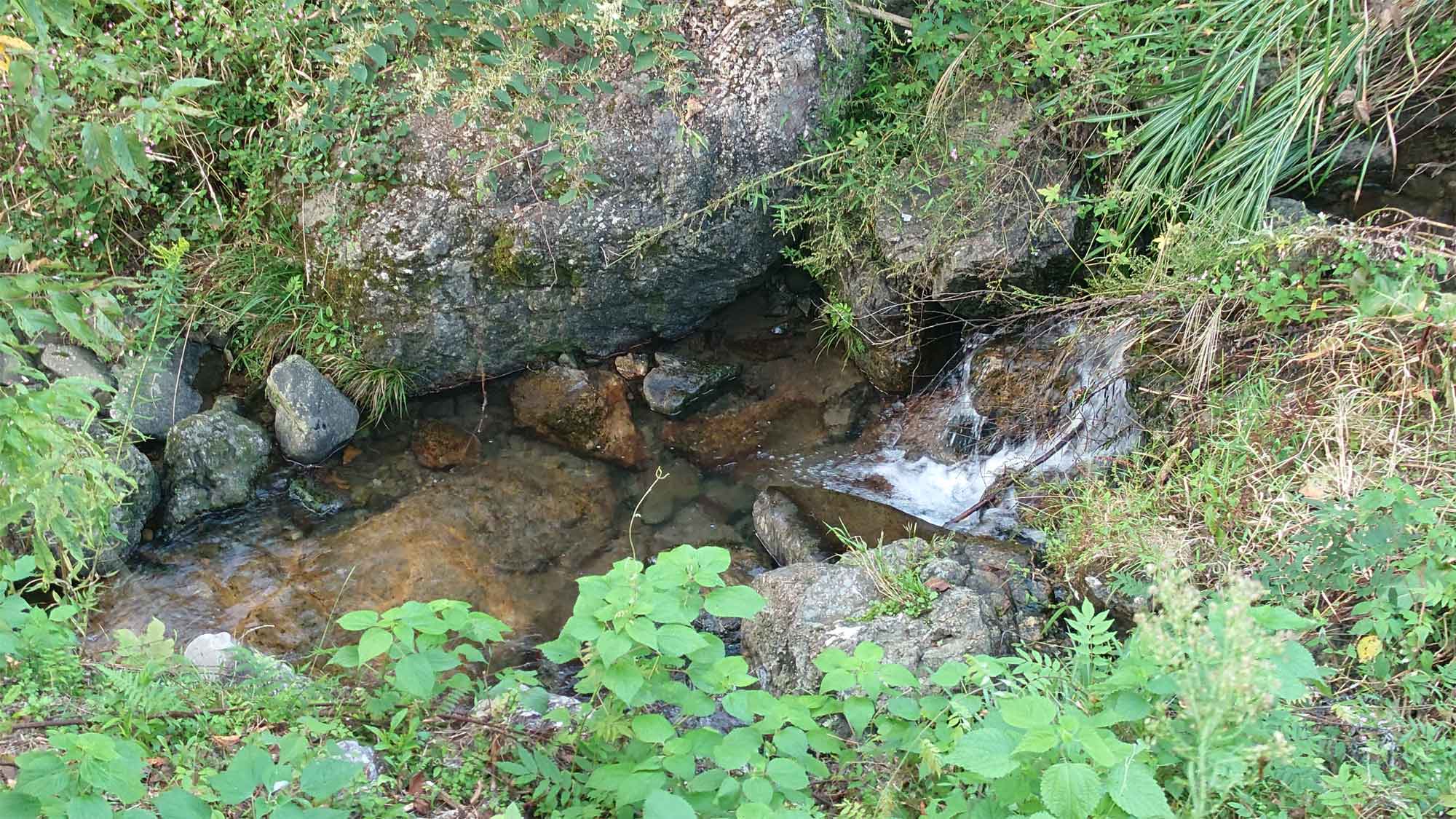 【風景】太郎川