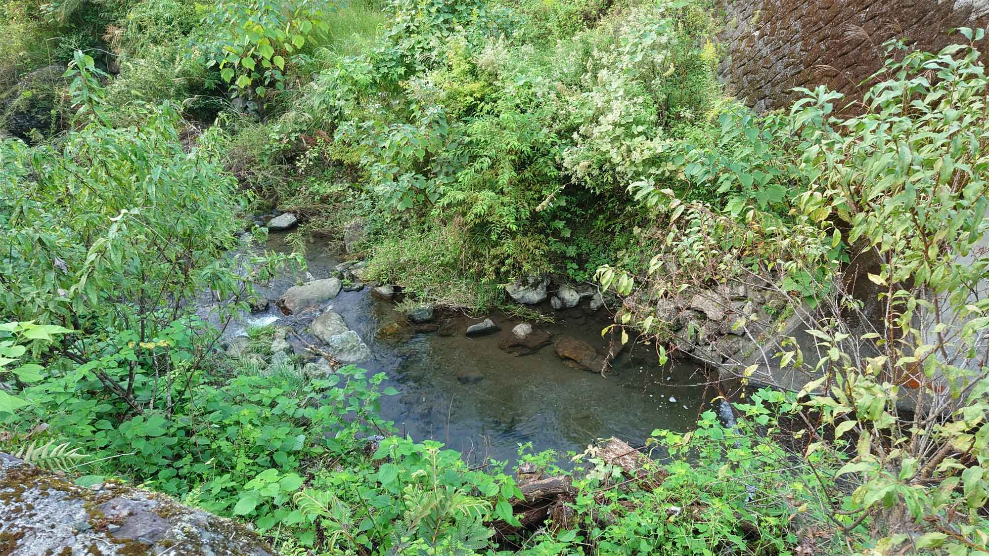 【風景】施設の側を流れる太郎川